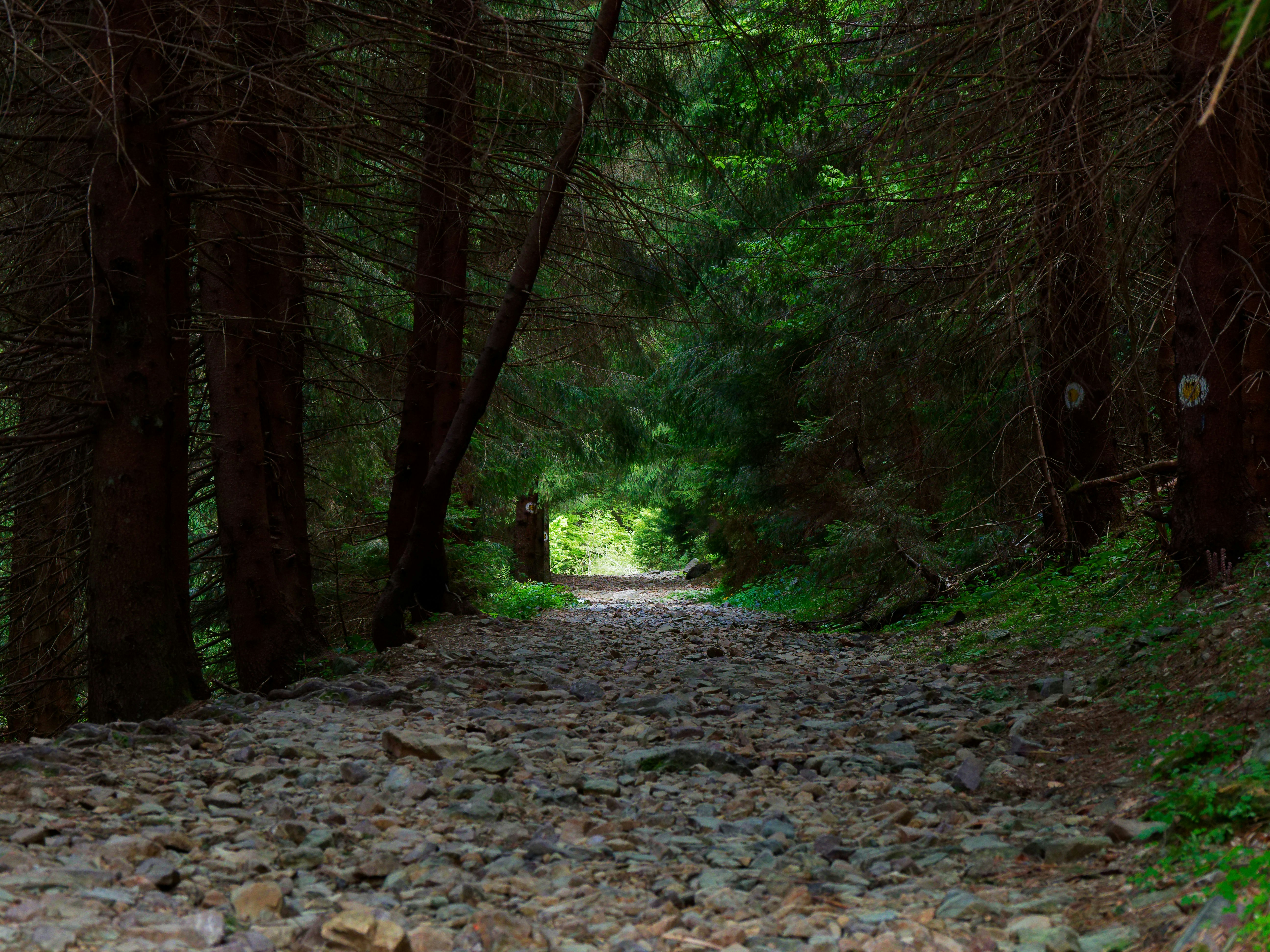 Photo by illes_cristi