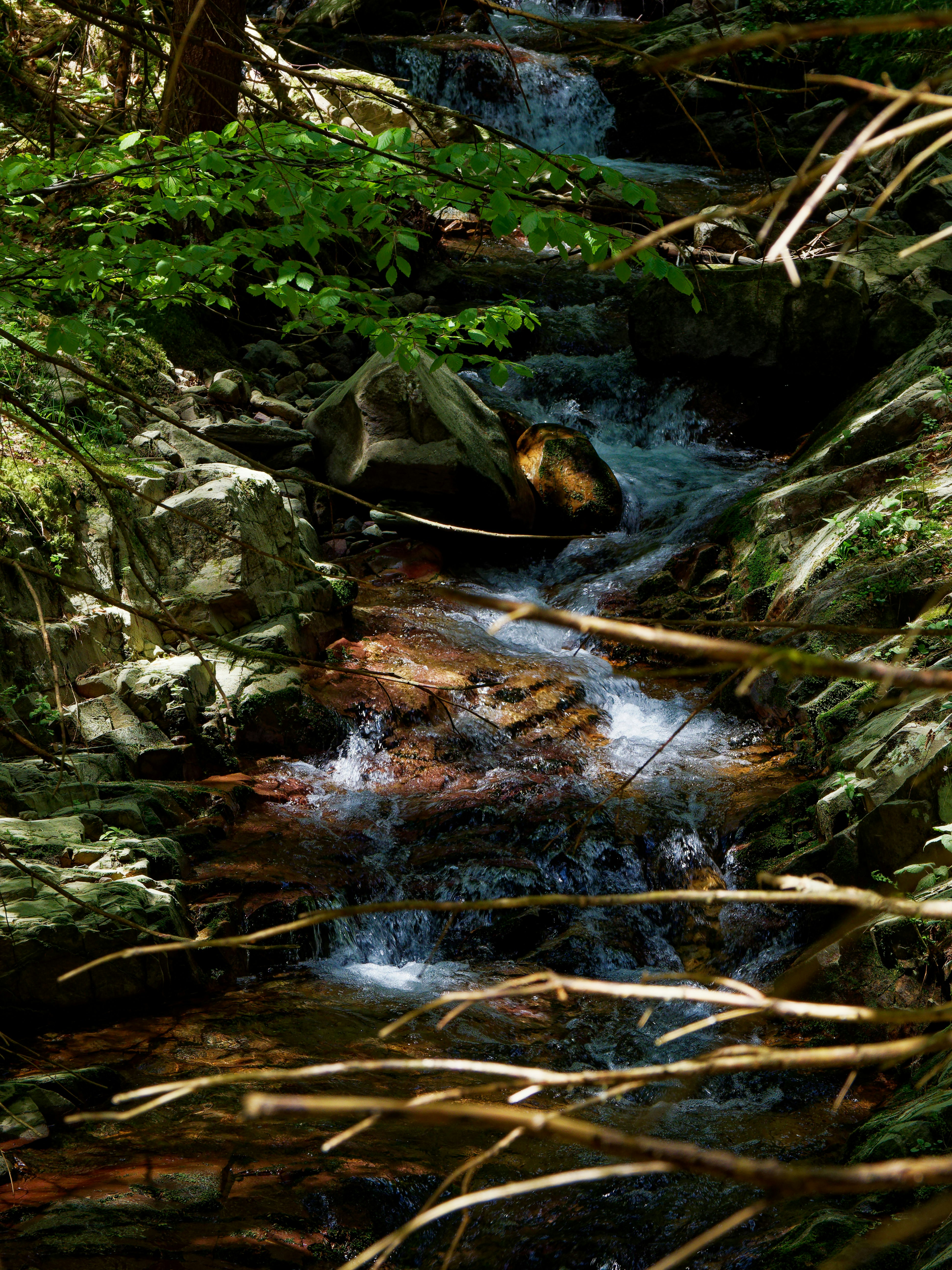 A stream of water with rocks and plants around it