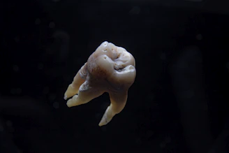 Close-up of a stylized molar tooth icon with digital circuit lines glowing softly.