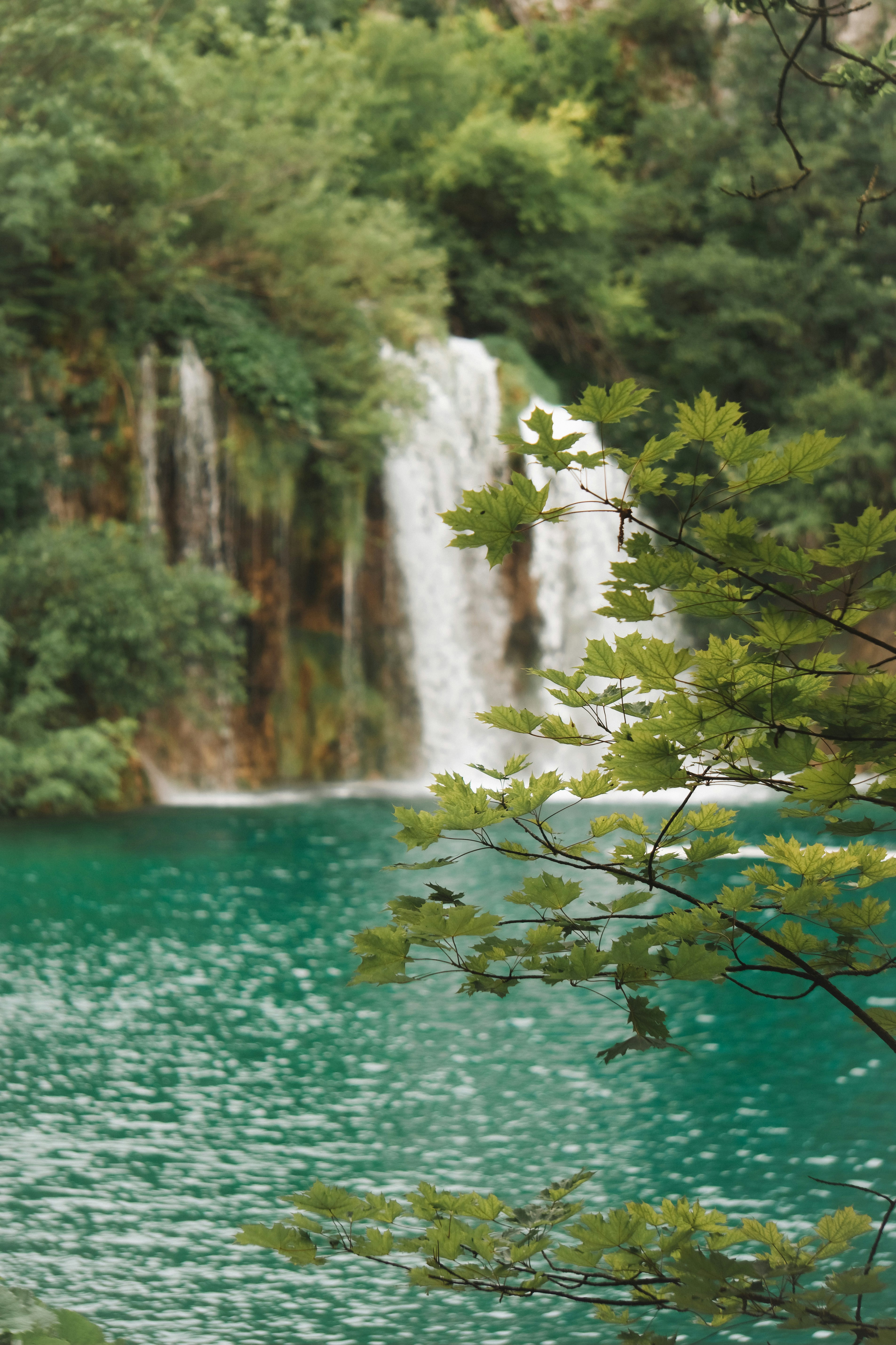 Photo by elisadventure_photo