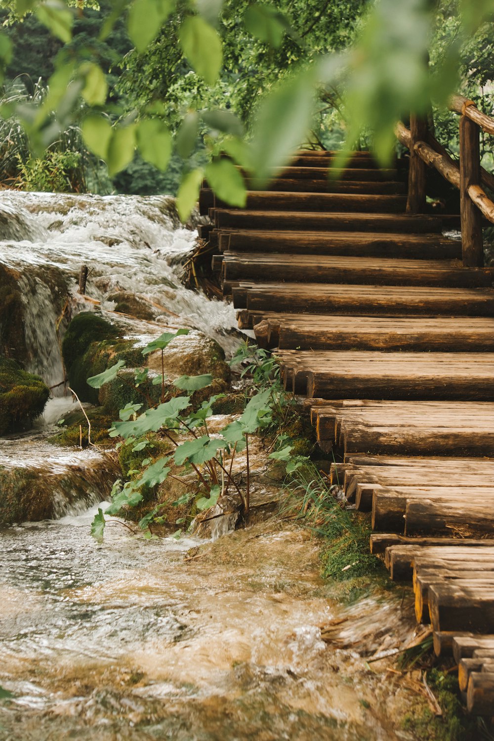 a wooden staircase with a rock wall and trees