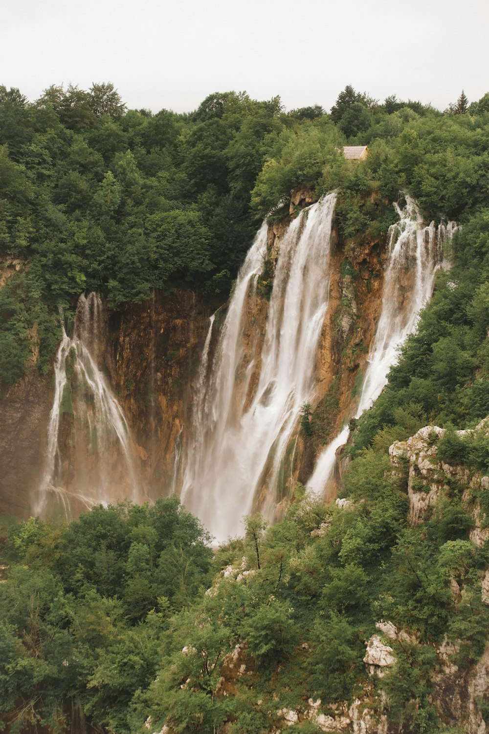 a waterfall surrounded by trees