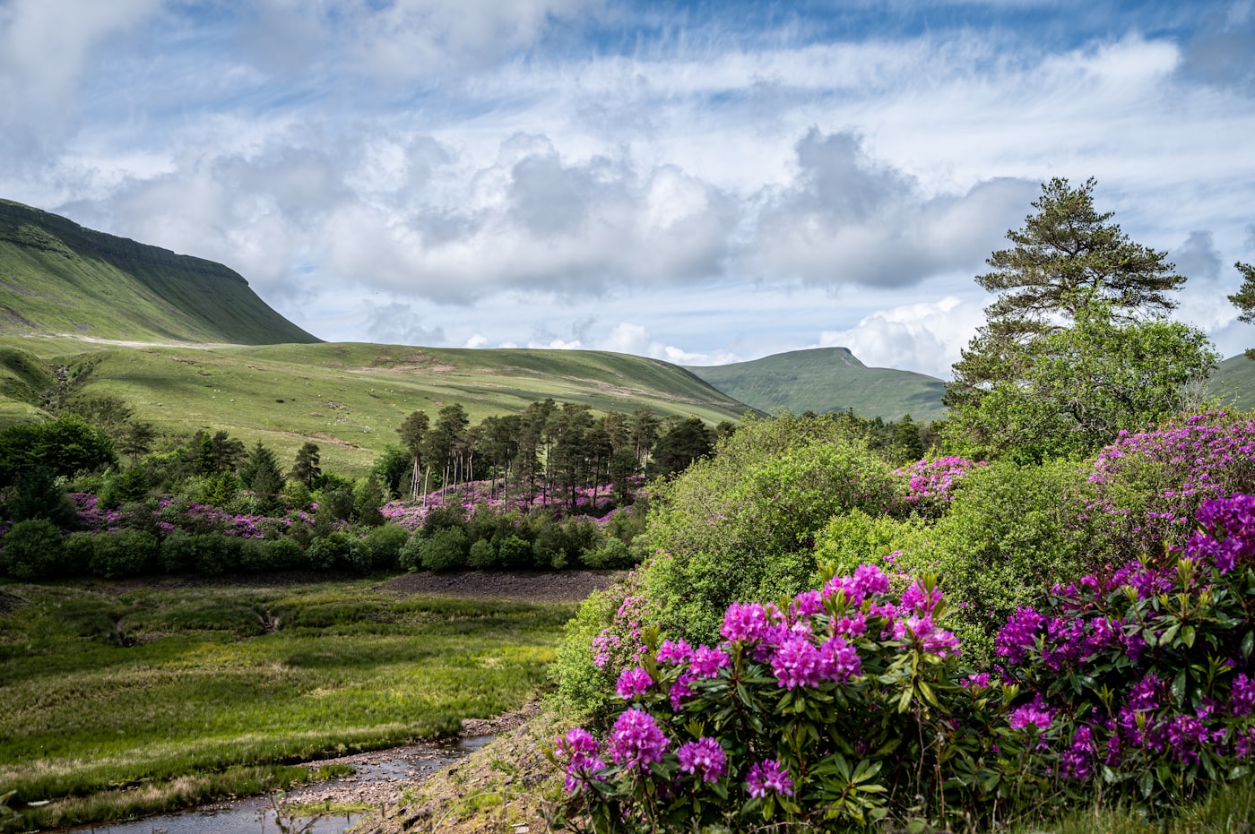 Hotels in Brecon Beacons under $150
