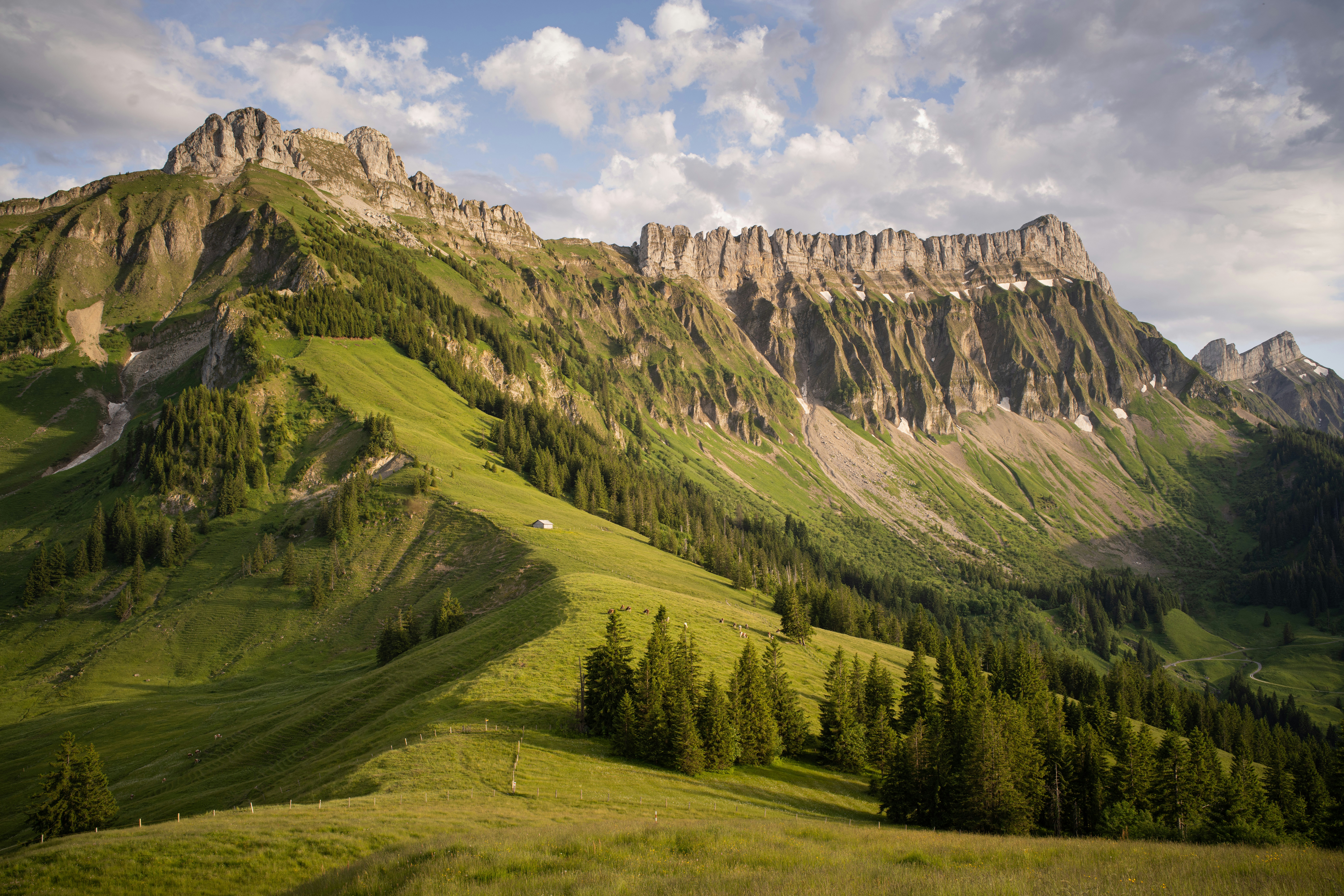 Photo by fabianbetto