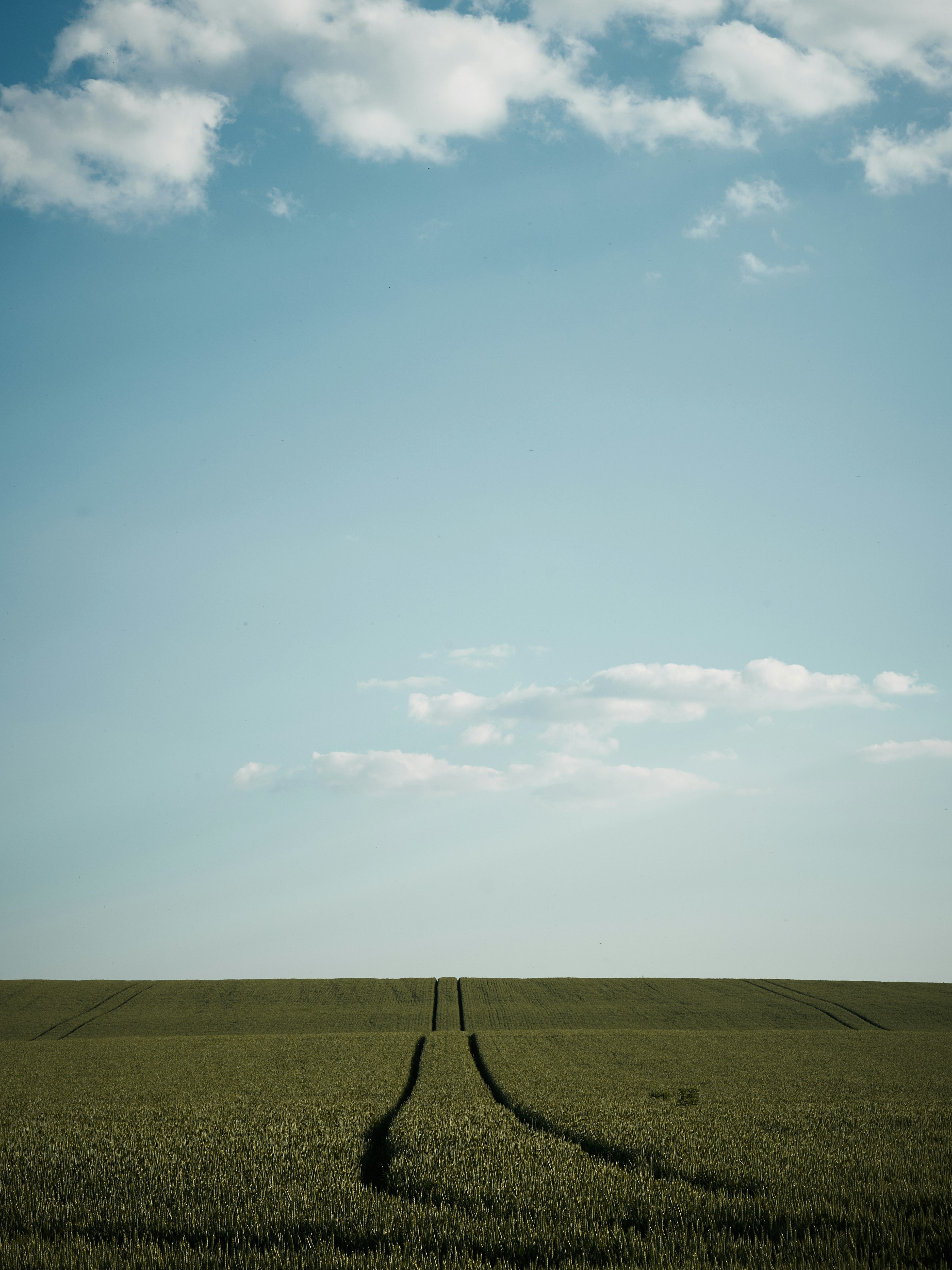 Photo by jkalina