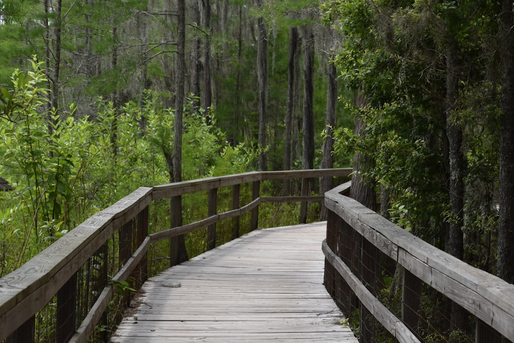 a wooden bridge in the woods