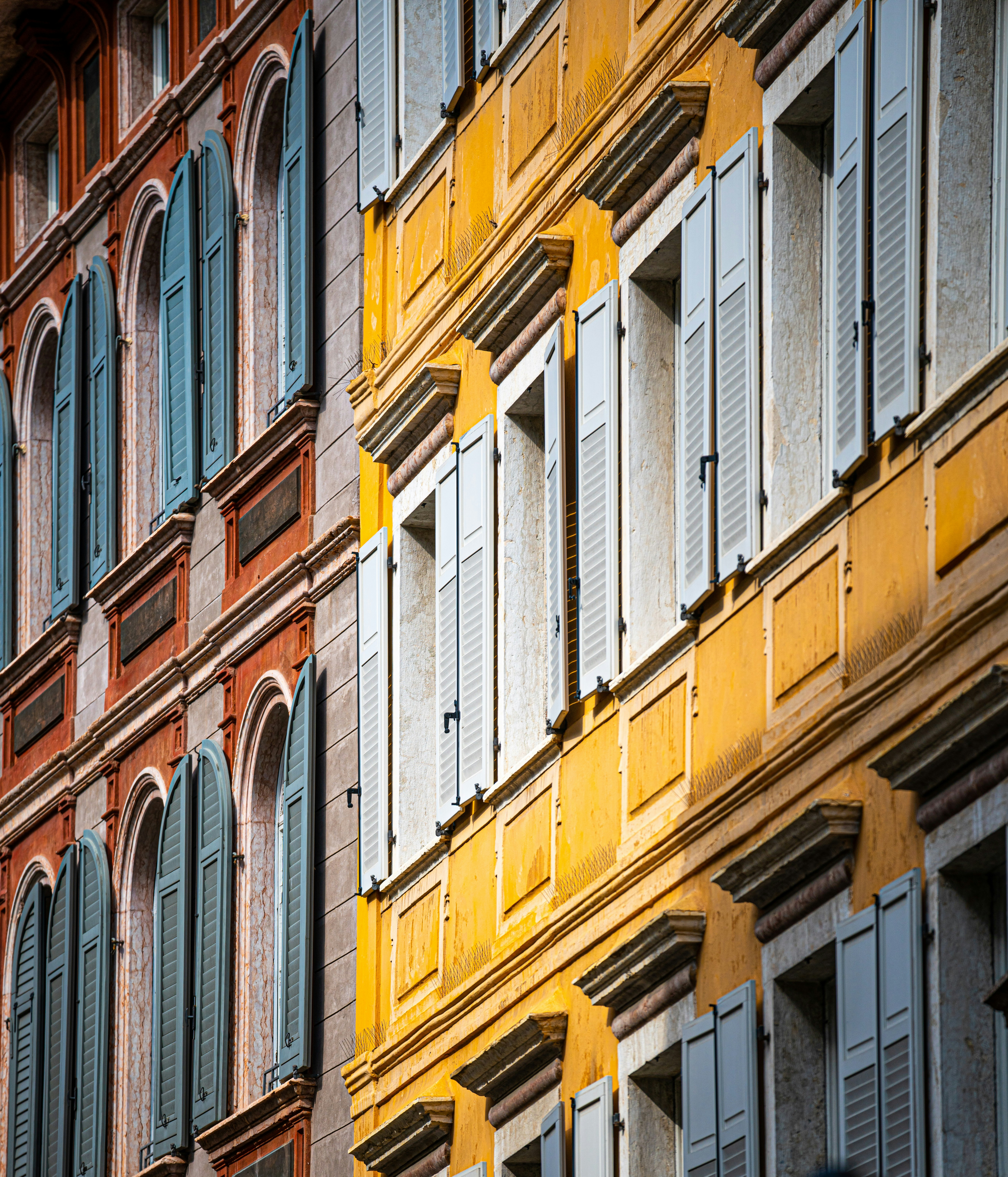 Photo by naturevisions