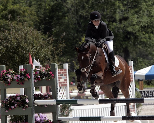 A rider is jumping a horse over an obstacle during an equestrian event. The scene is set outdoors, surrounded by greenery and decorative floral arrangements. The rider is wearing traditional equestrian attire, including a helmet, jacket, and riding boots.