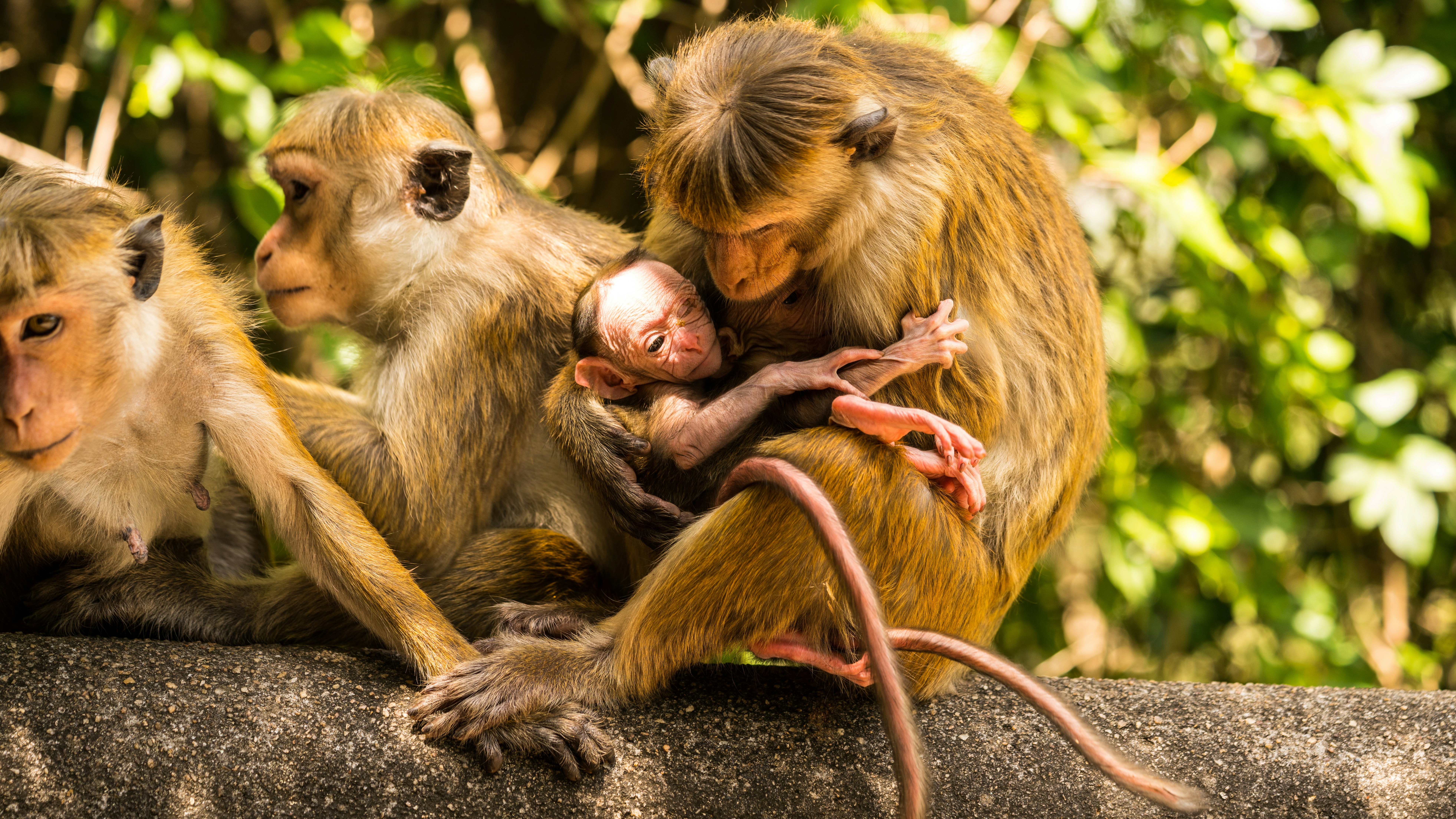 Photo by naturevisions