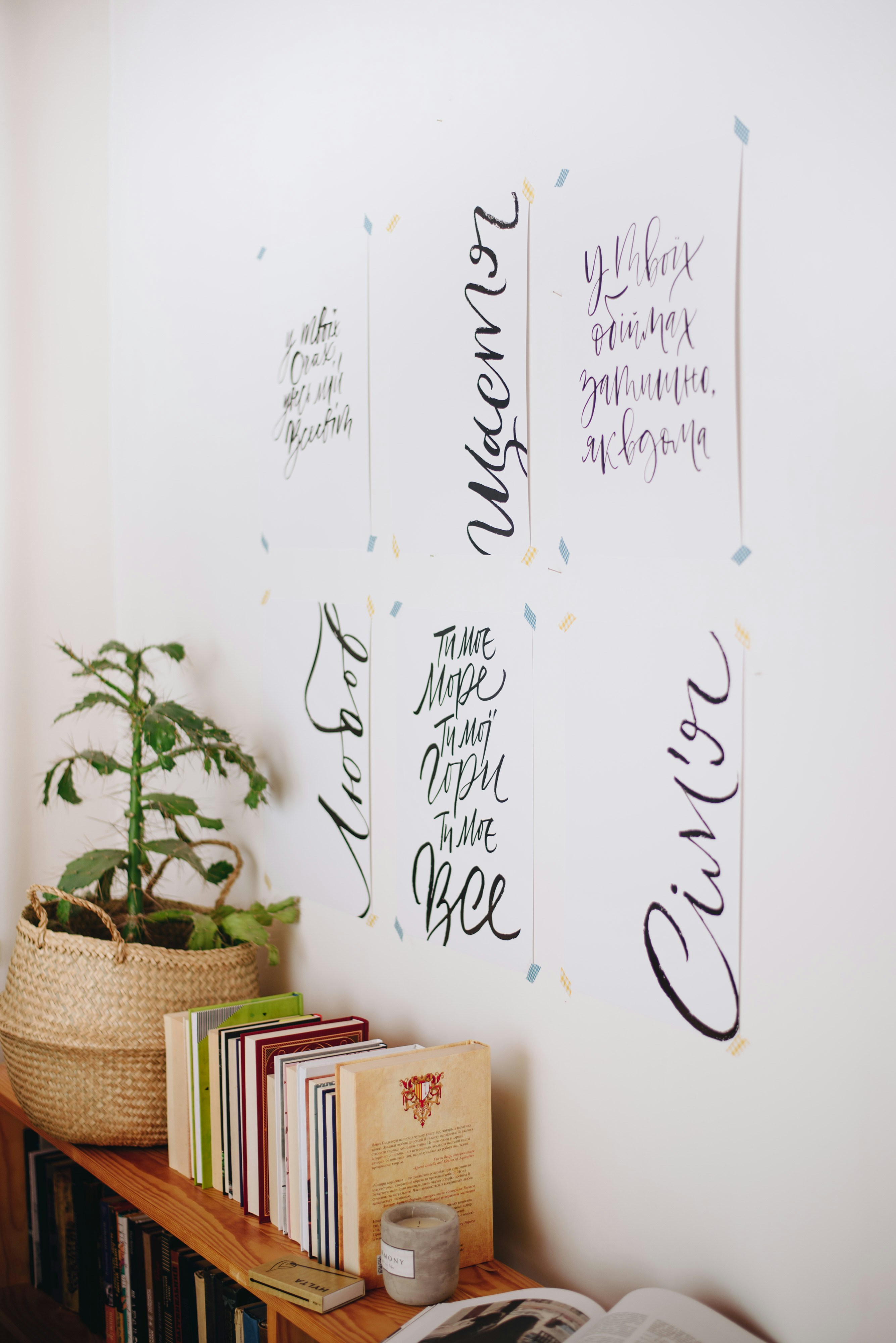 Photo by shadrinaphotography