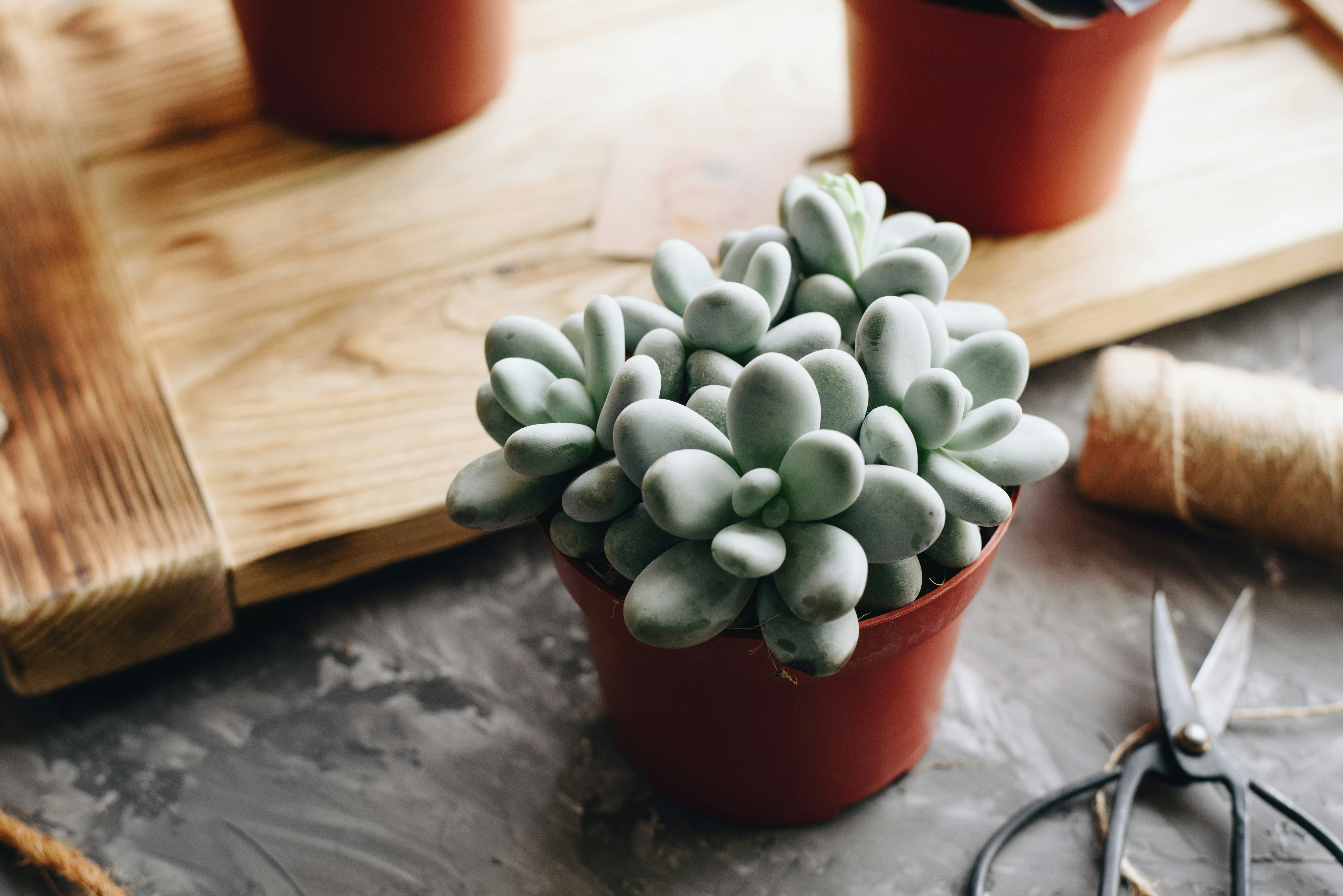 Photo by shadrinaphotography