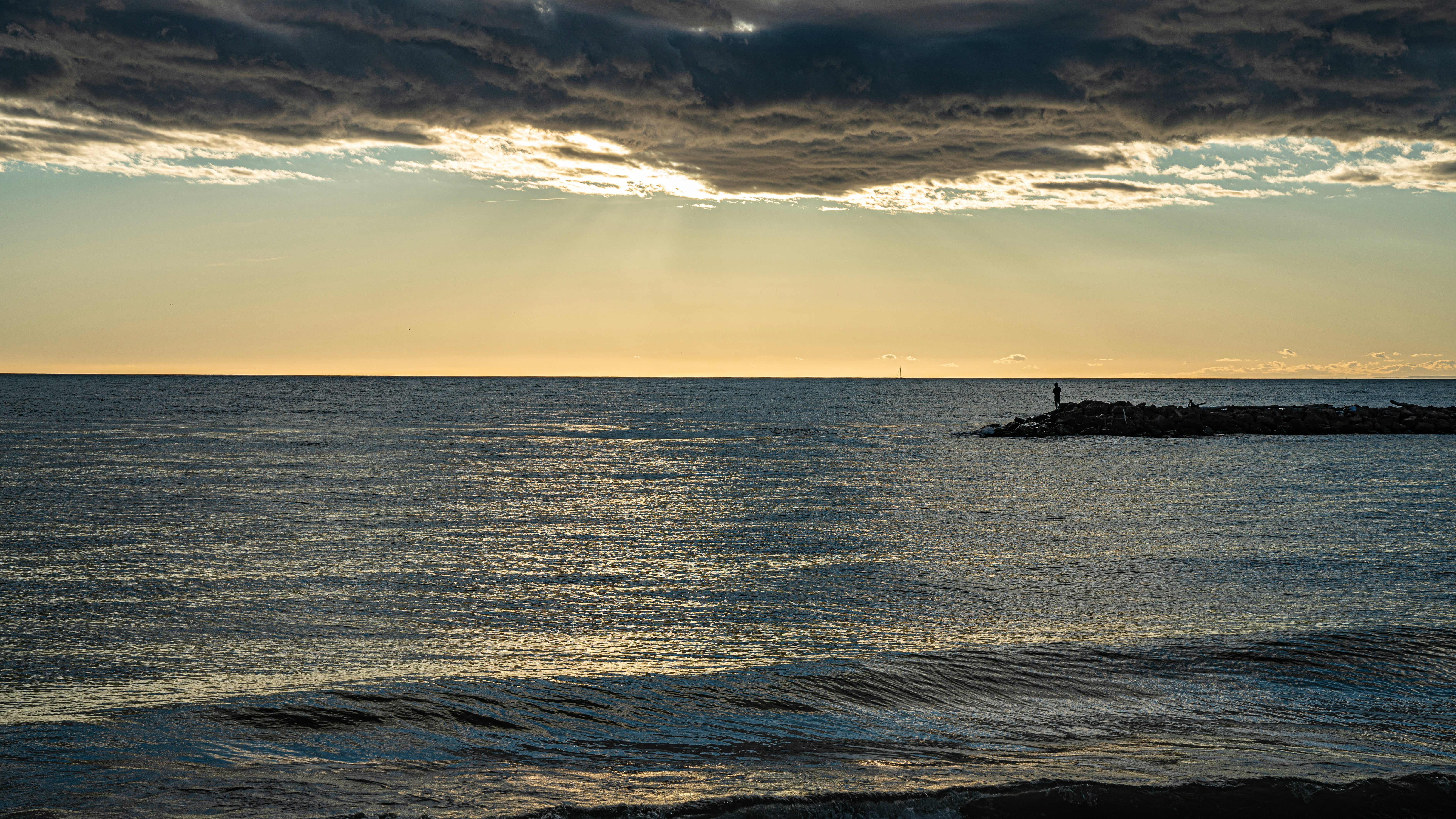 Photo by naturevisions