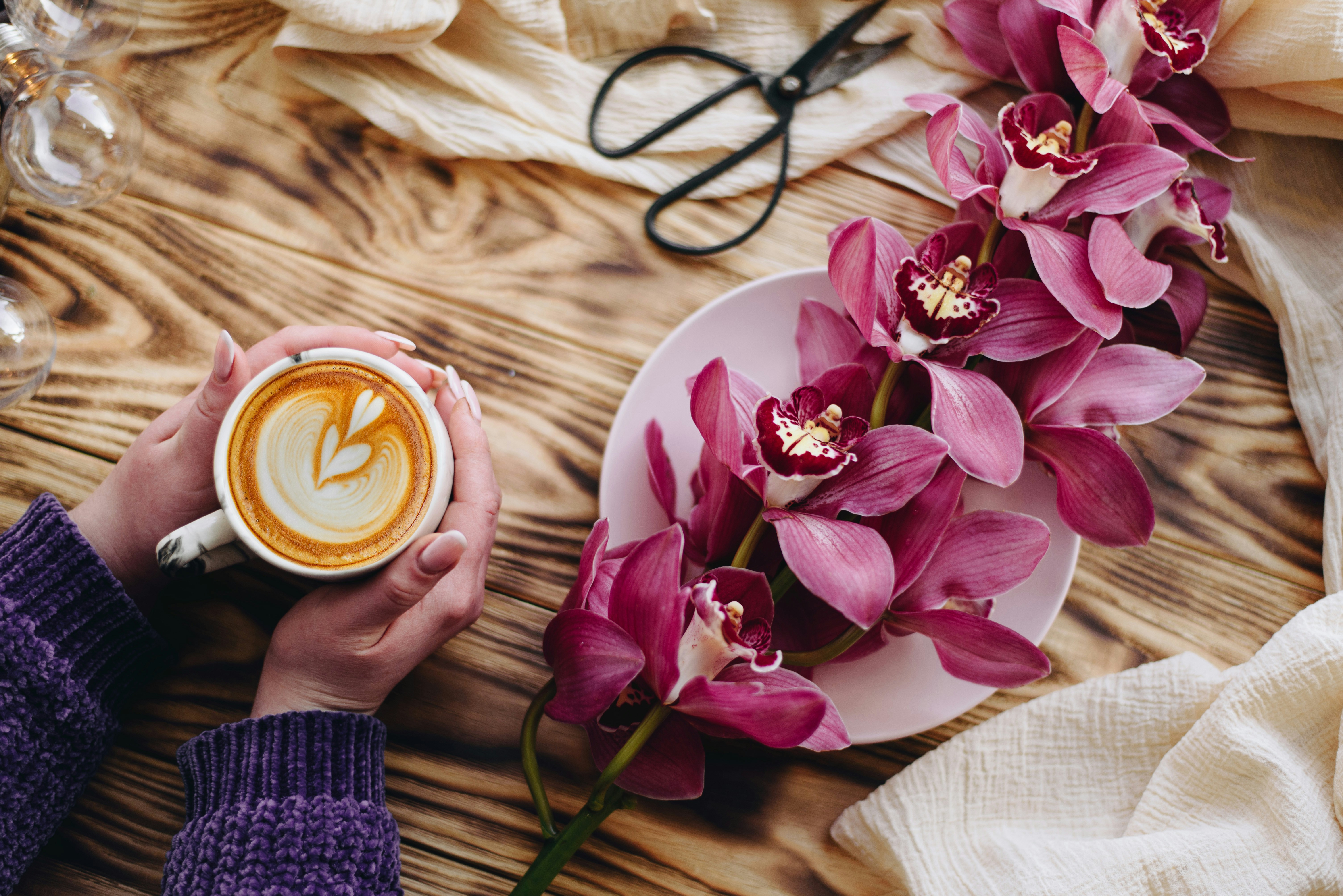 Photo by shadrinaphotography