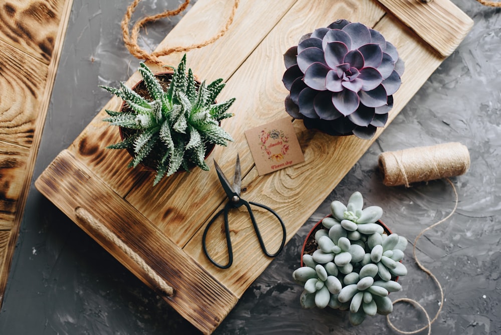 a pair of scissors next to a bouquet of flowers