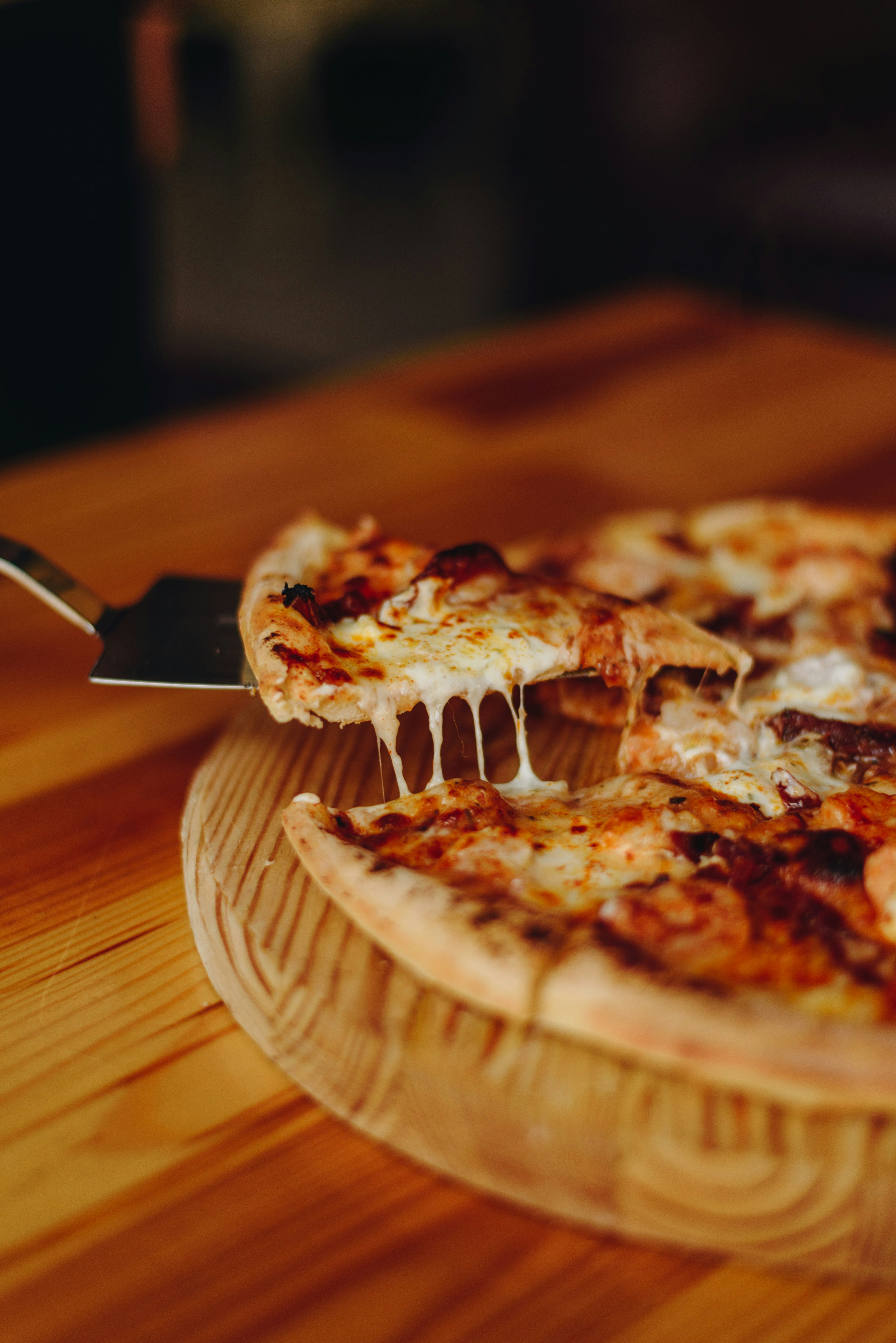 Photo by shadrinaphotography