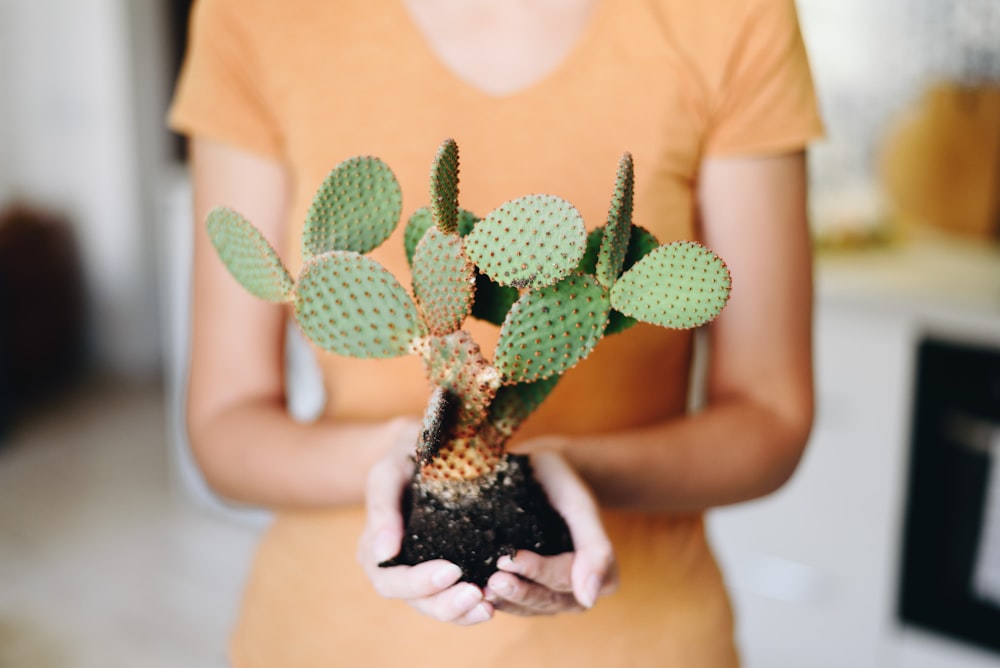 a person holding a pineapple