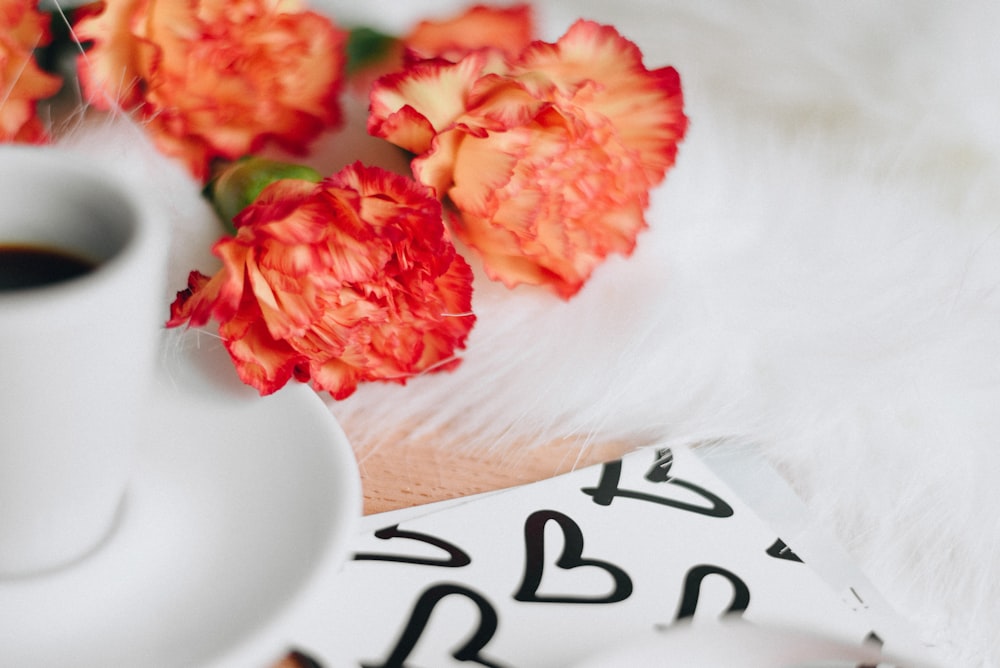 a number of flowers on a table