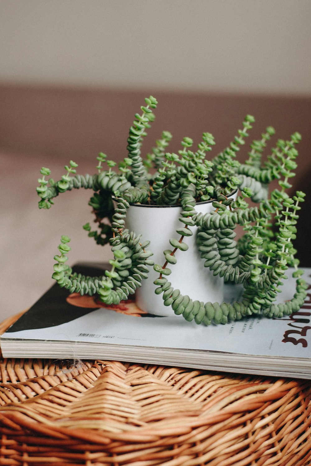 a vase with green leaves