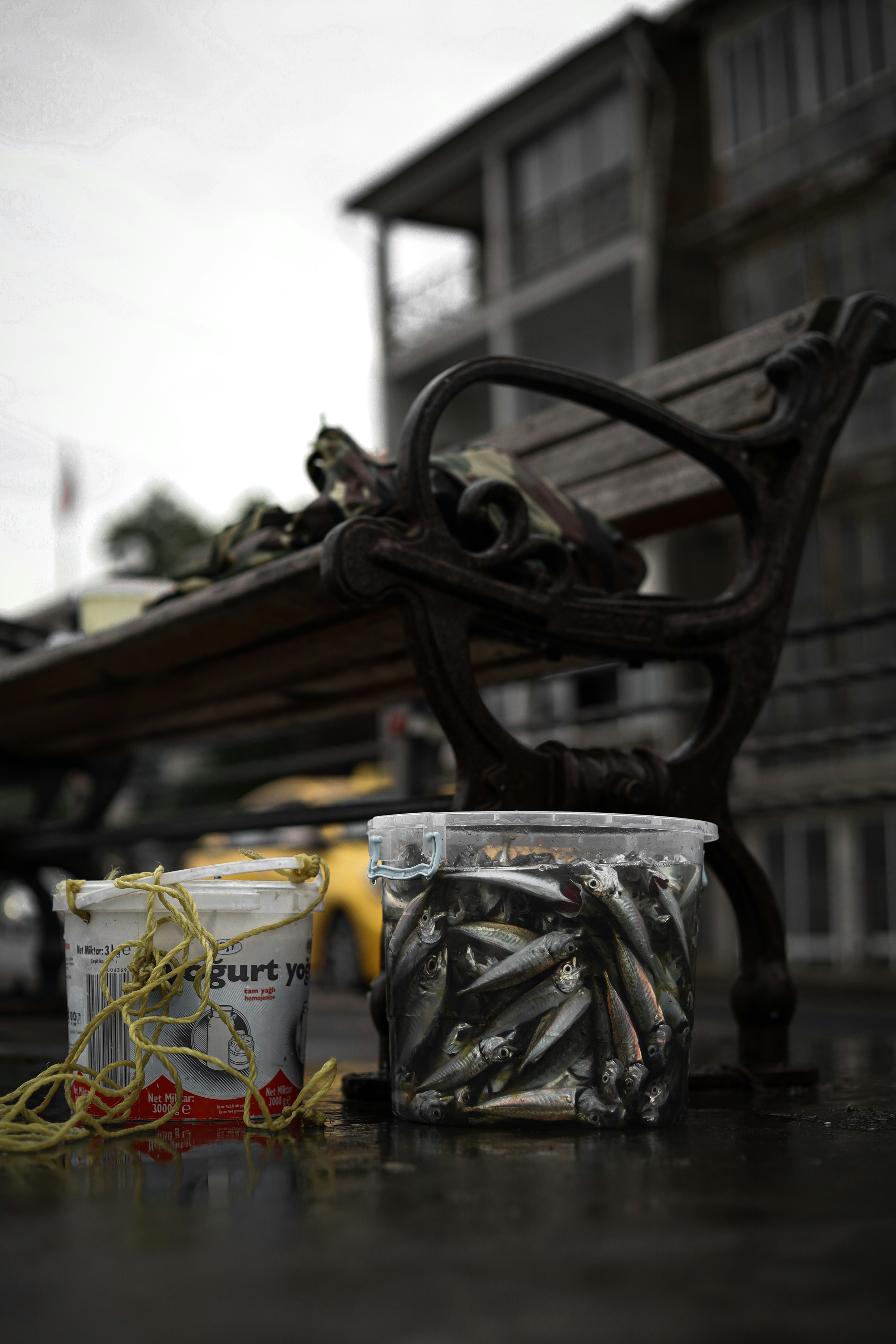 Jar of small fish beside a white can with yellow rope on a rain-soaked bench, with a blurred urban building in the background.