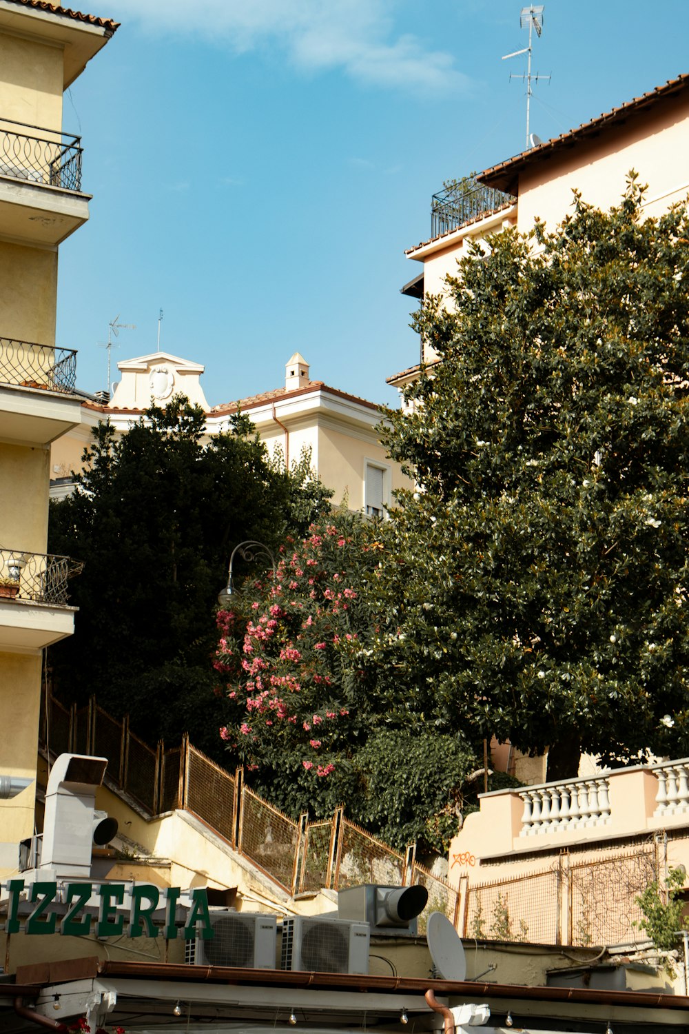 a group of buildings with trees and plants on the side