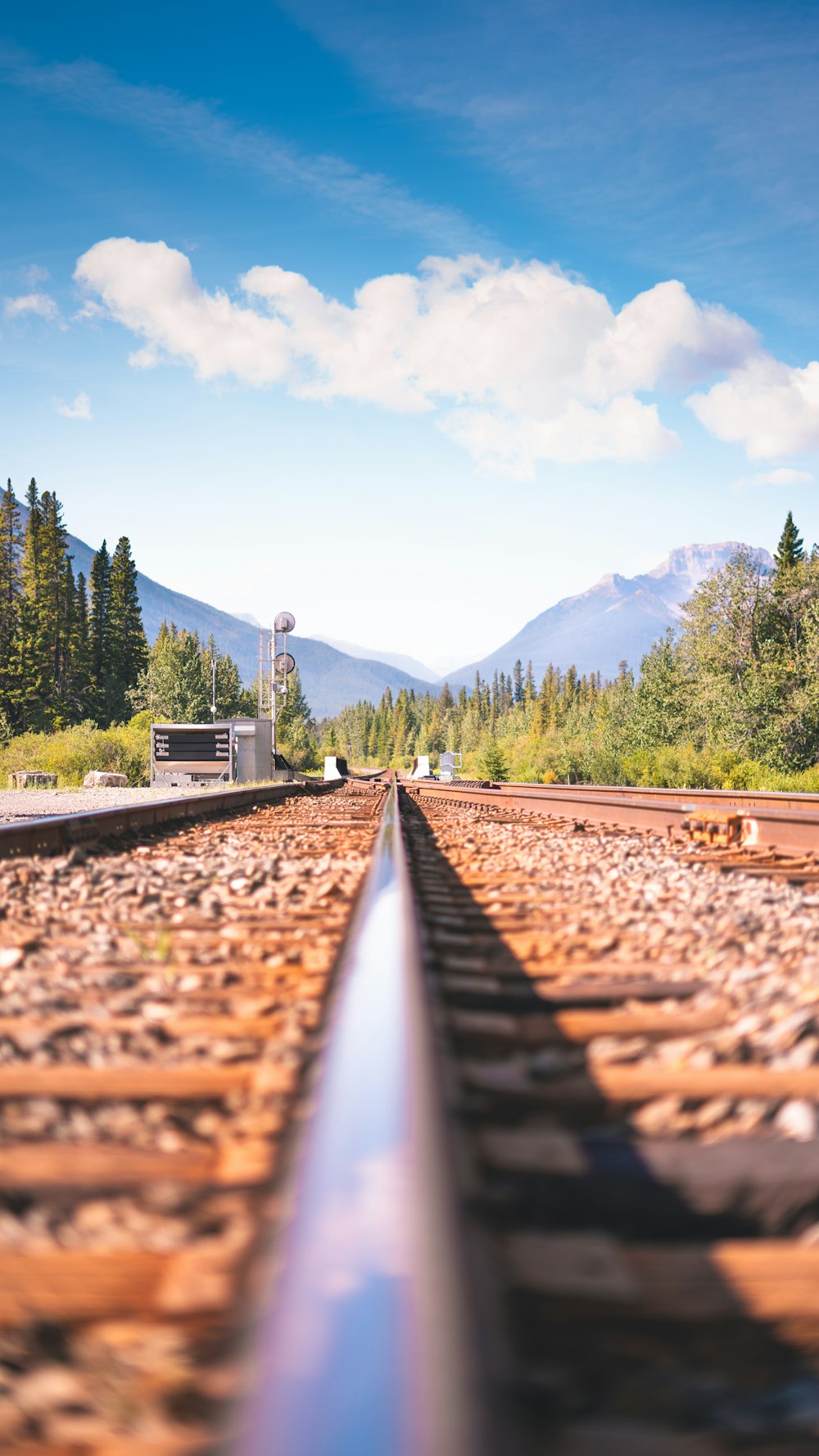 train tracks with trees and mountains in the background