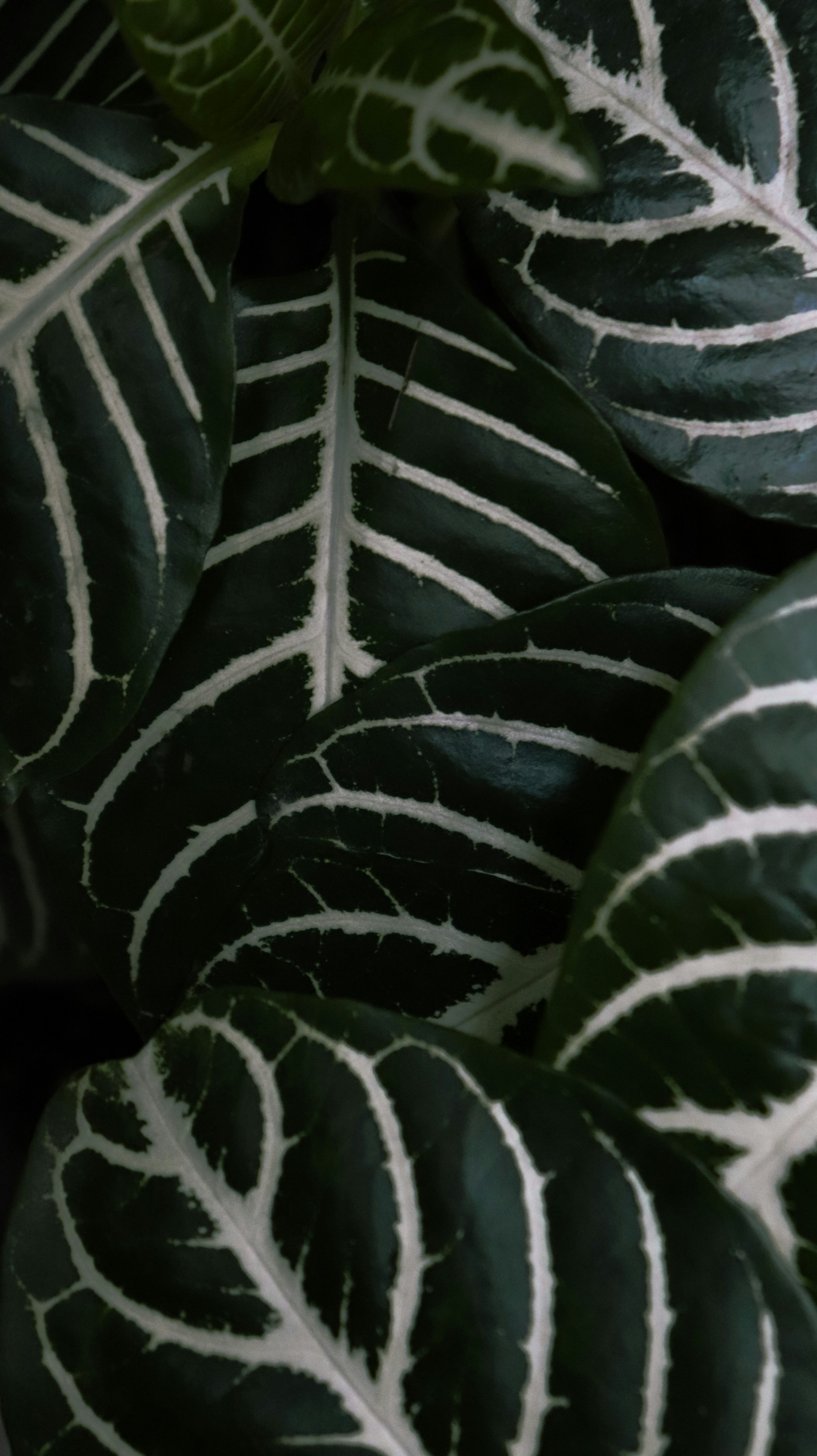 Photo by jcamilo_2410