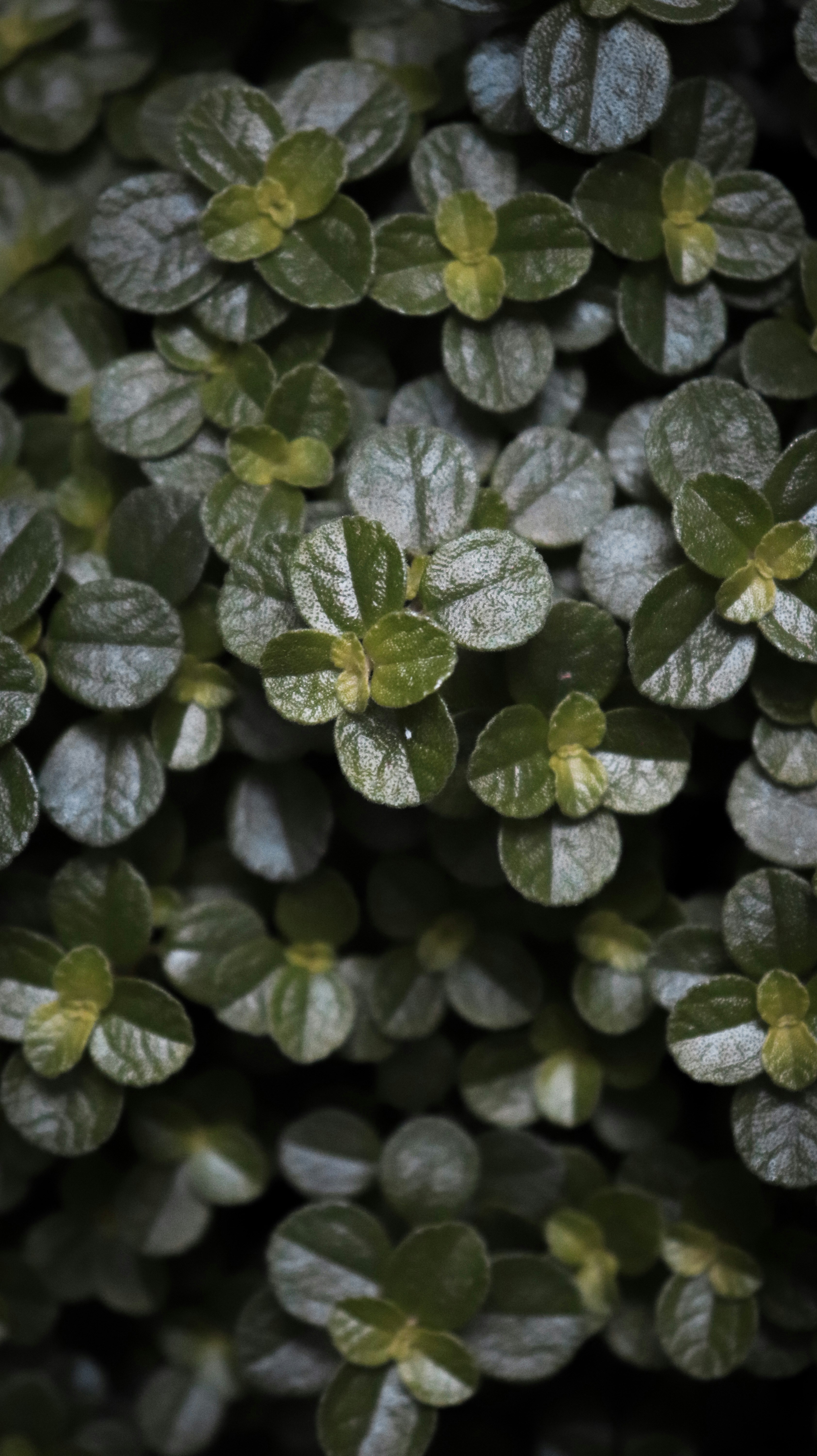 Photo by jcamilo_2410