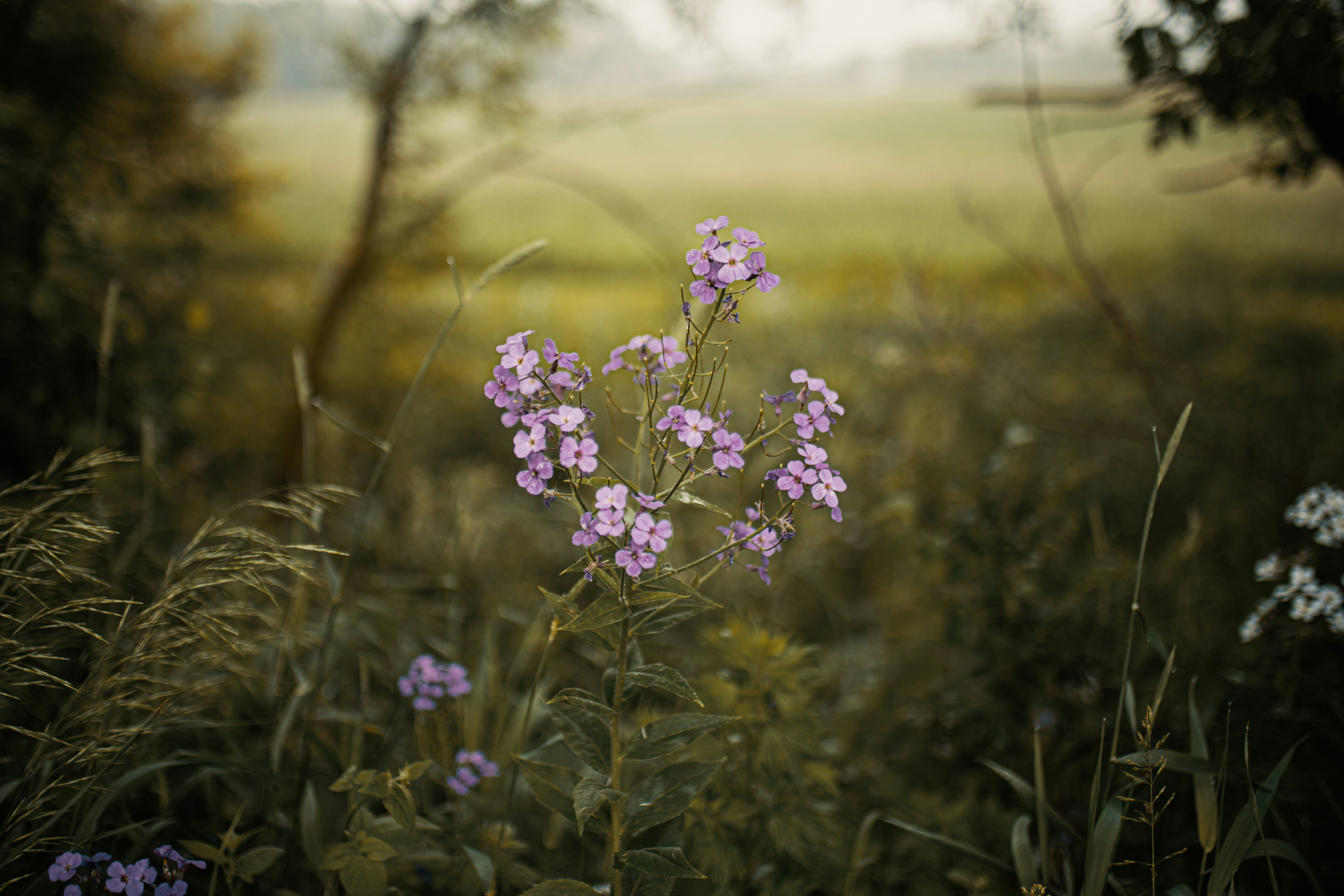 Photo by joshsorenson