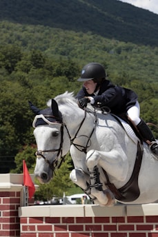 A person, dressed in a riding helmet and jacket, is engaged in equestrian jumping. They are mounted on a white horse that is leaping over a brick-patterned barrier. The background features a lush, green forest and a mountain under a partly cloudy sky.