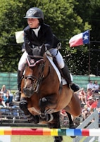 A rider in formal equestrian attire jumps over a colorful obstacle on a brown horse during a competition. There is a crowd of spectators in the background, with flags prominently displayed, indicating the event takes place outdoors.