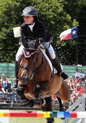 A rider in formal equestrian attire jumps over a colorful obstacle on a brown horse during a competition. There is a crowd of spectators in the background, with flags prominently displayed, indicating the event takes place outdoors.