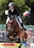 A rider in formal equestrian attire jumps over a colorful obstacle on a brown horse during a competition. There is a crowd of spectators in the background, with flags prominently displayed, indicating the event takes place outdoors.