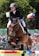 A rider in formal equestrian attire jumps over a colorful obstacle on a brown horse during a competition. There is a crowd of spectators in the background, with flags prominently displayed, indicating the event takes place outdoors.