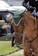 A brown horse wearing a green ear bonnet is being ridden by a person dressed in formal equestrian attire. The background includes blurred elements like a few people and possibly a vehicle, suggesting an outdoor setting or event.
