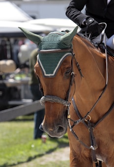 A brown horse wearing a green ear bonnet is being ridden by a person dressed in formal equestrian attire. The background includes blurred elements like a few people and possibly a vehicle, suggesting an outdoor setting or event.