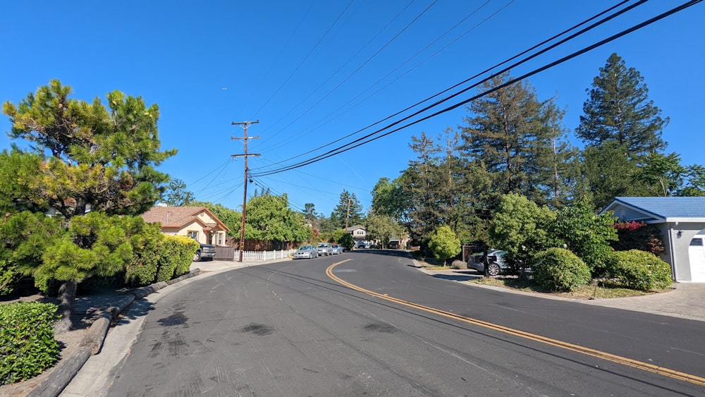 a road with trees on the side