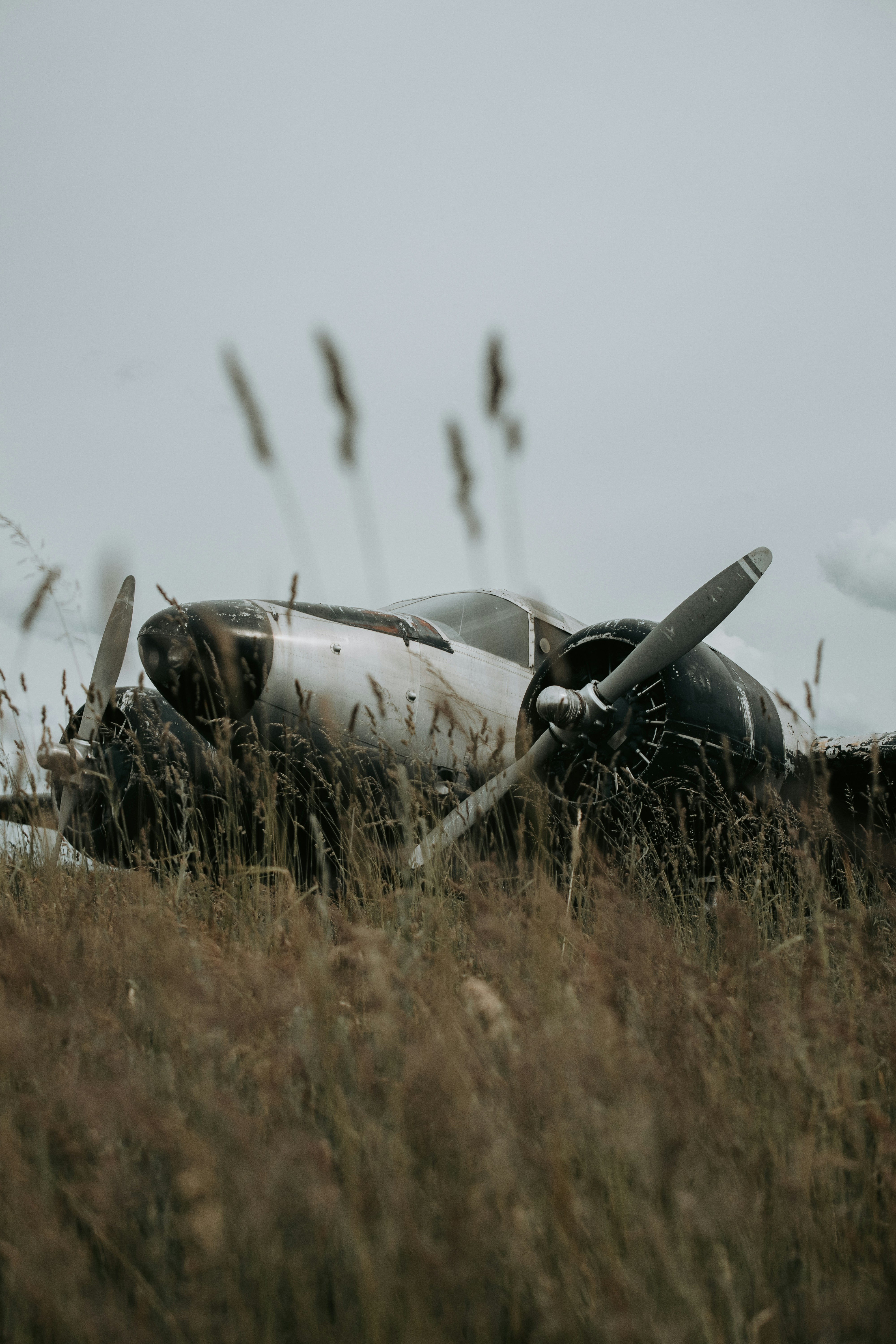 Ein Auto auf einem Feld