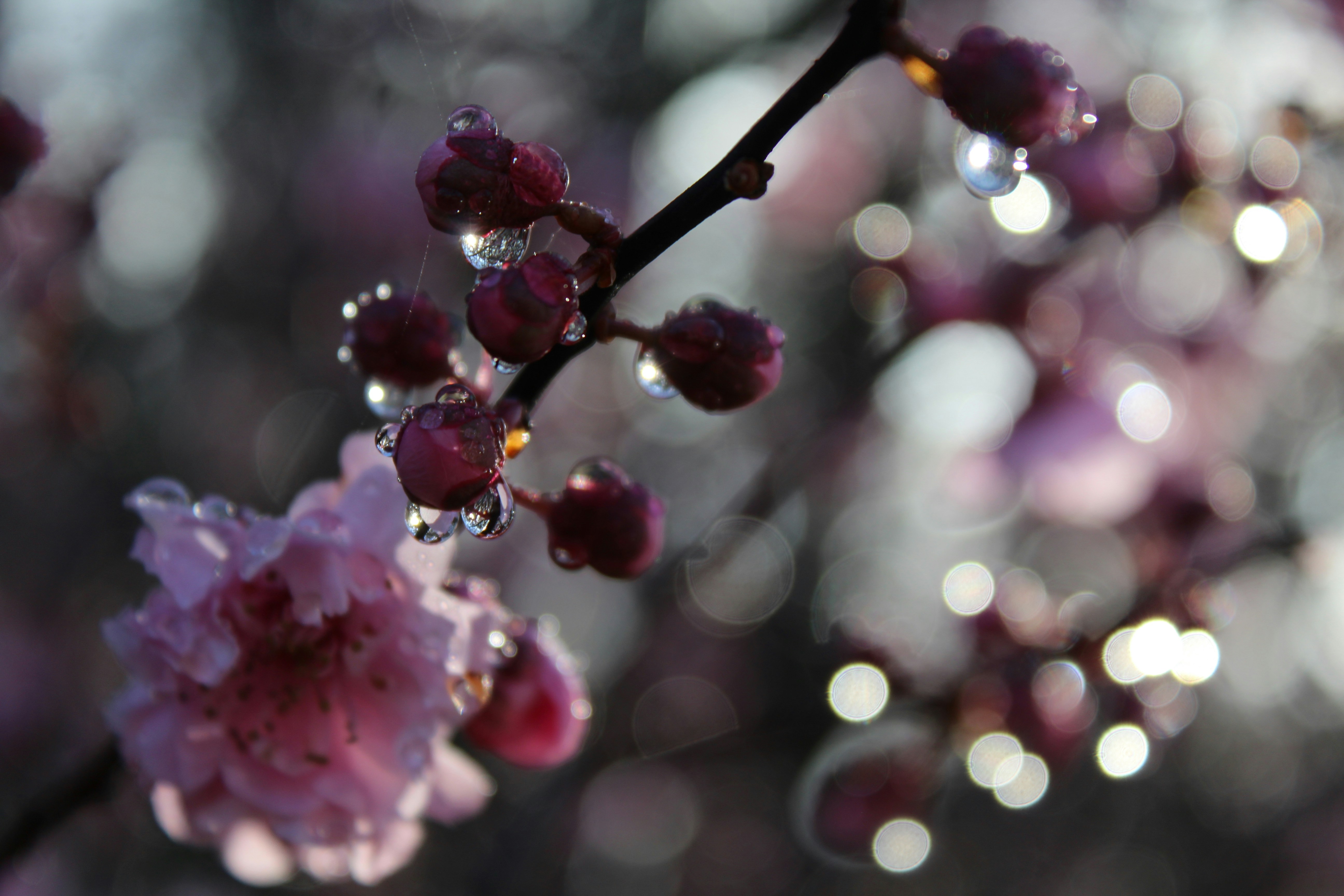 Photo by light_and_hope