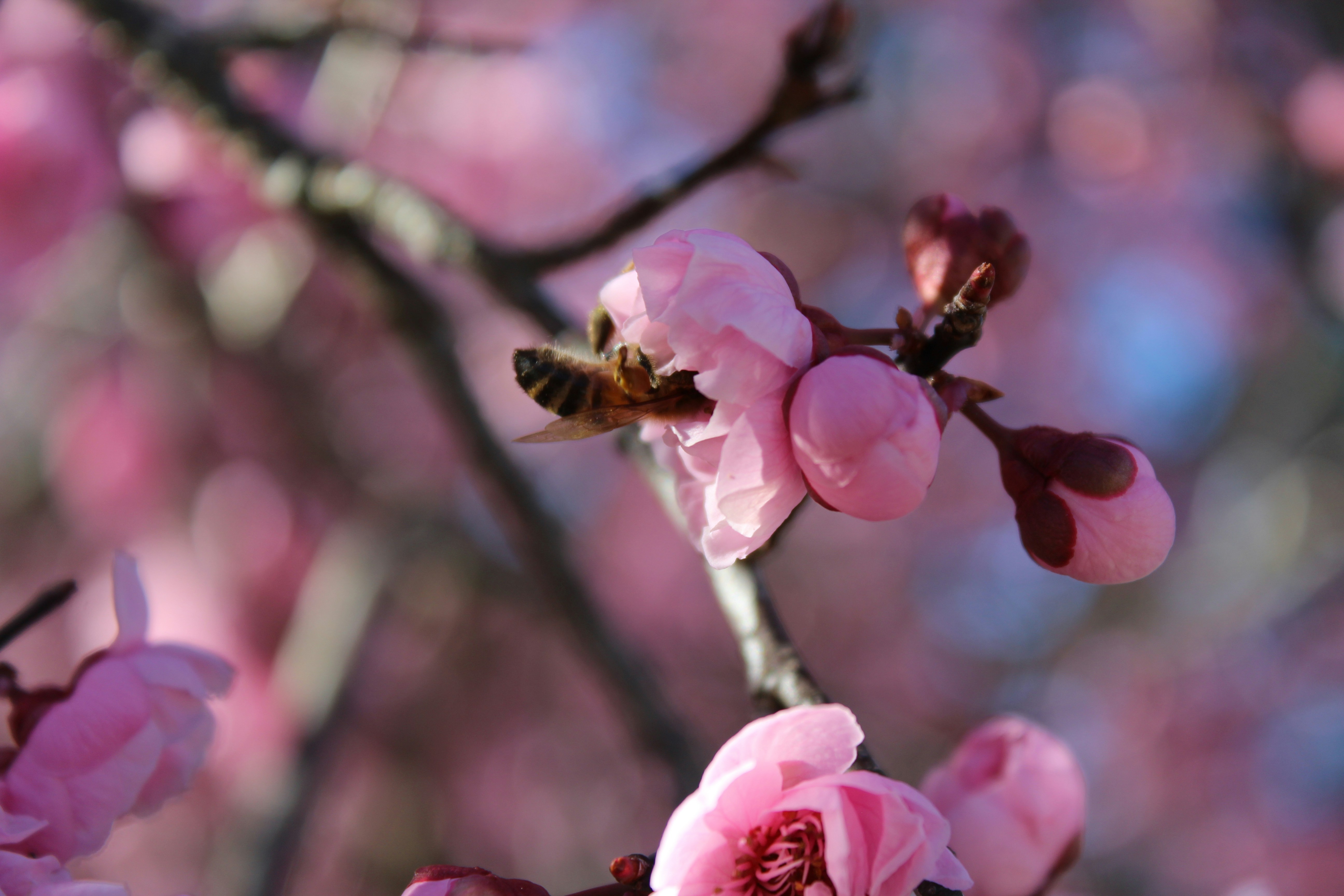 Photo by light_and_hope