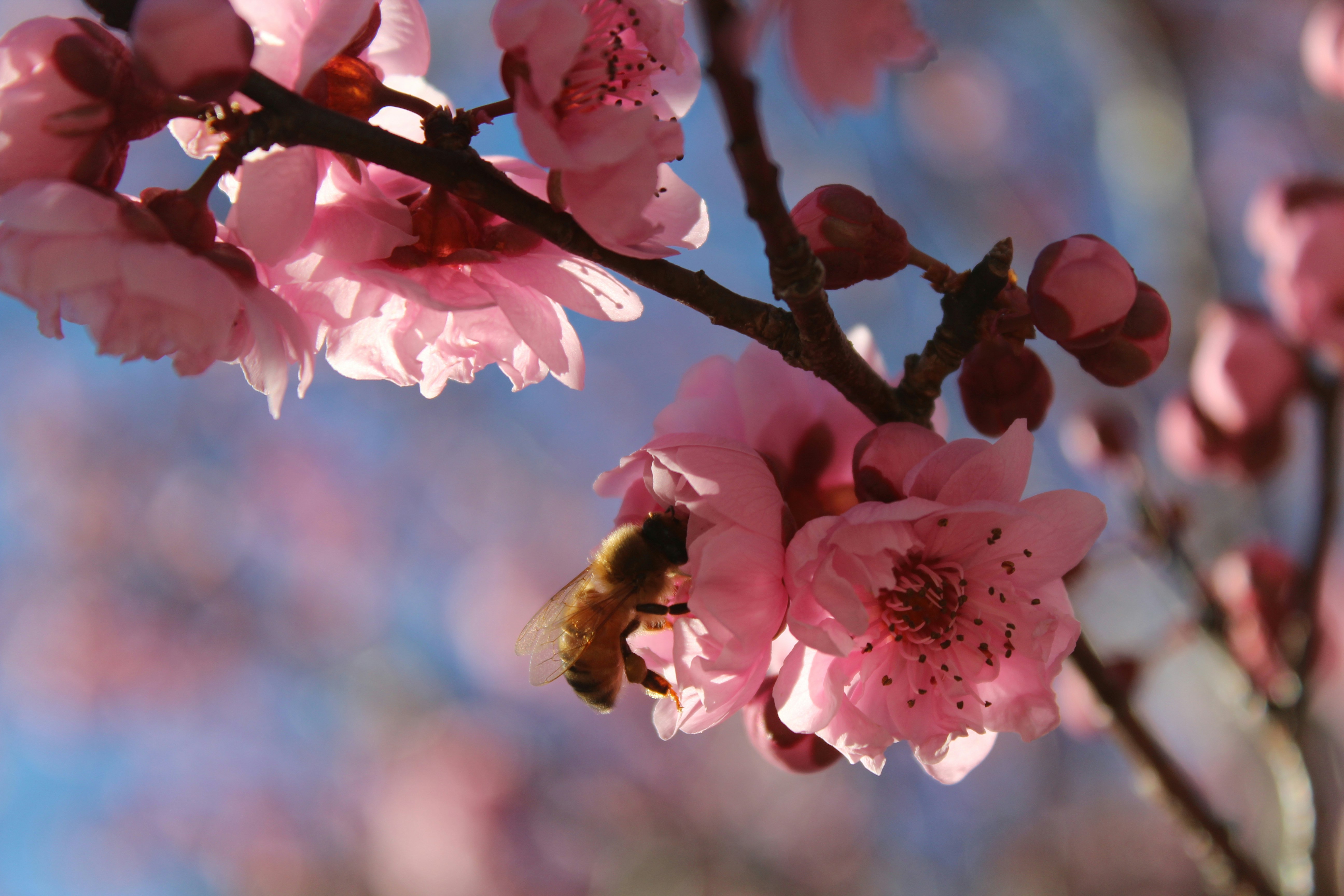 Photo by light_and_hope