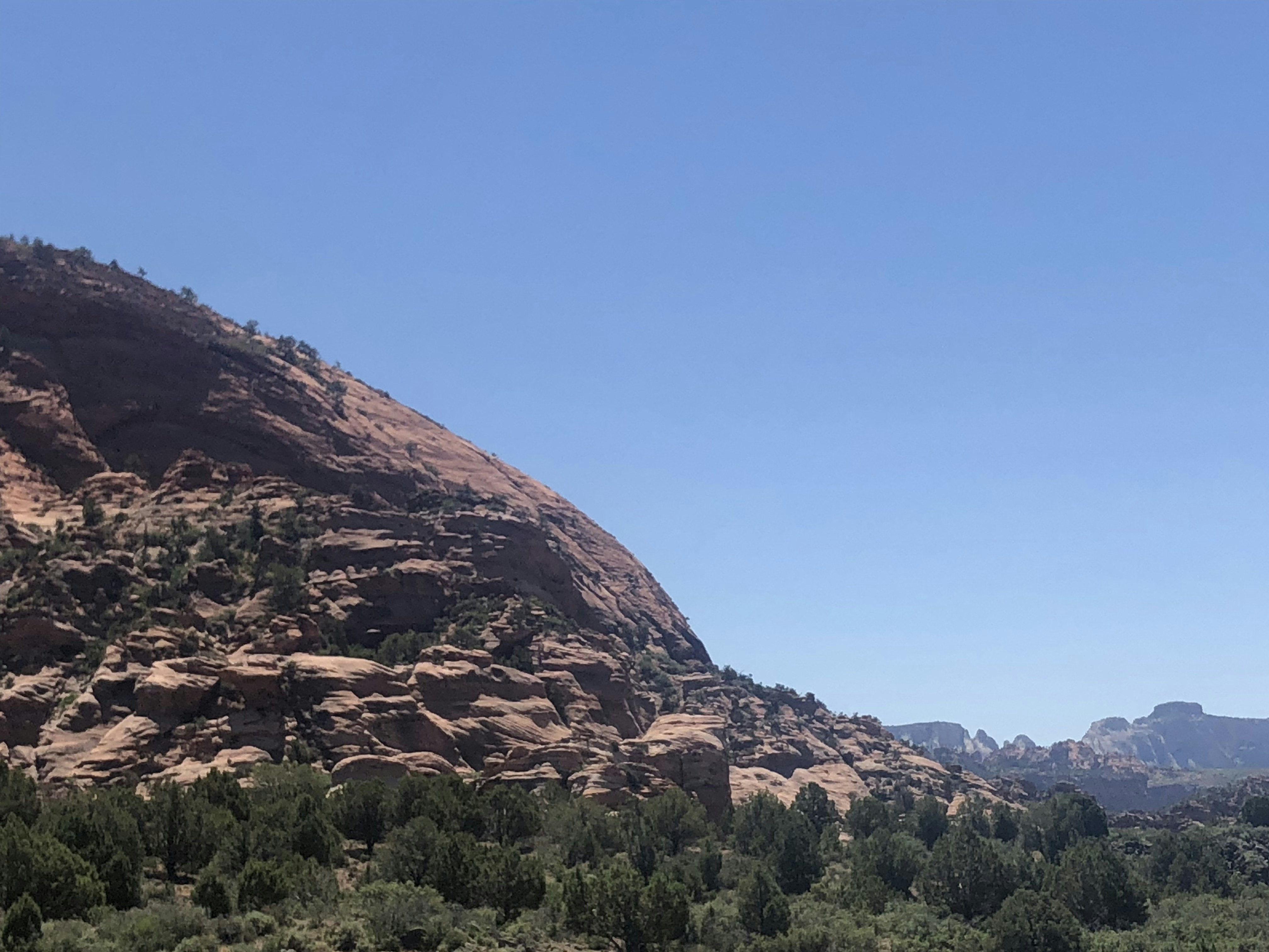 Photo by blueflame567