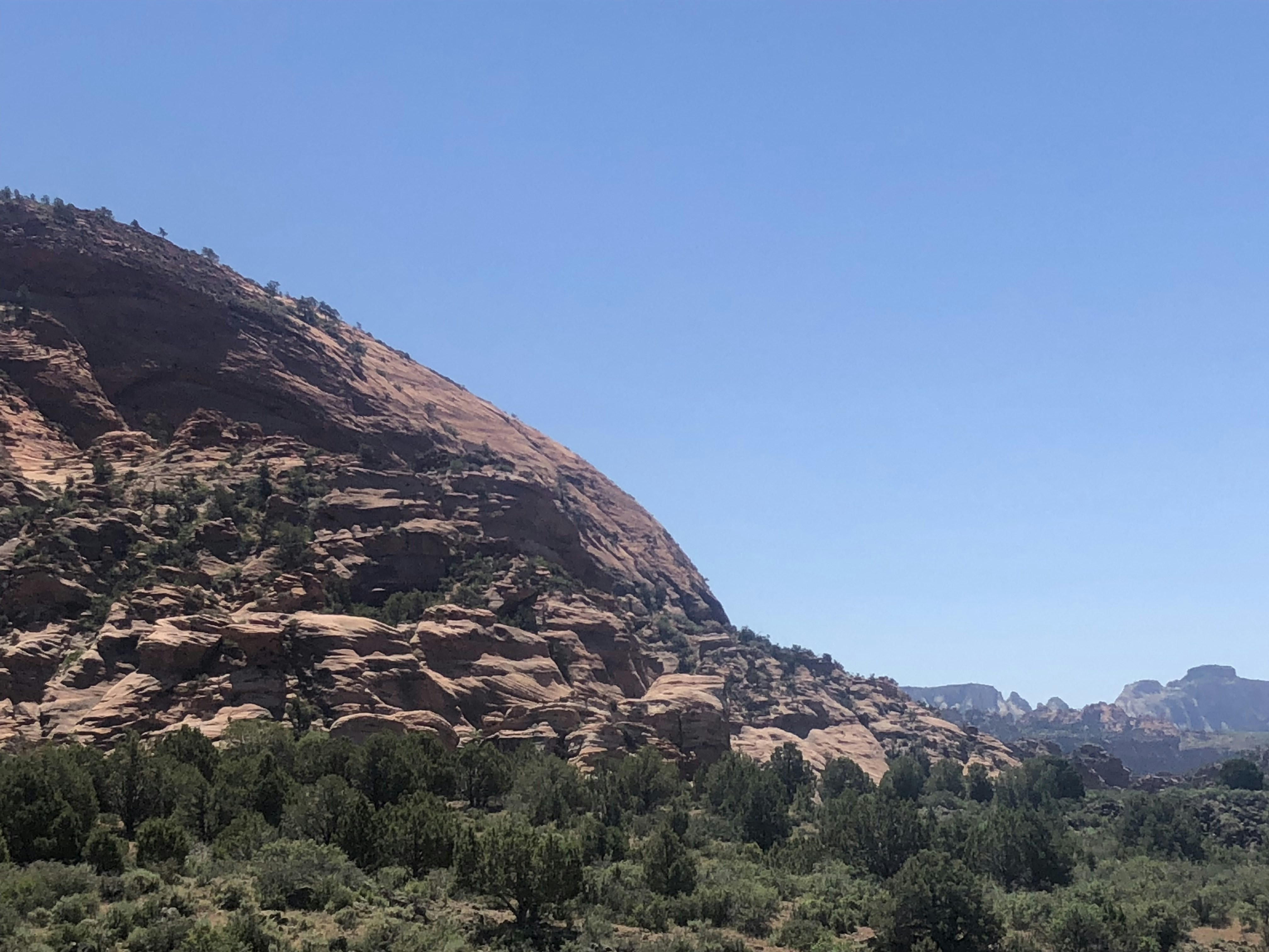 Photo by blueflame567