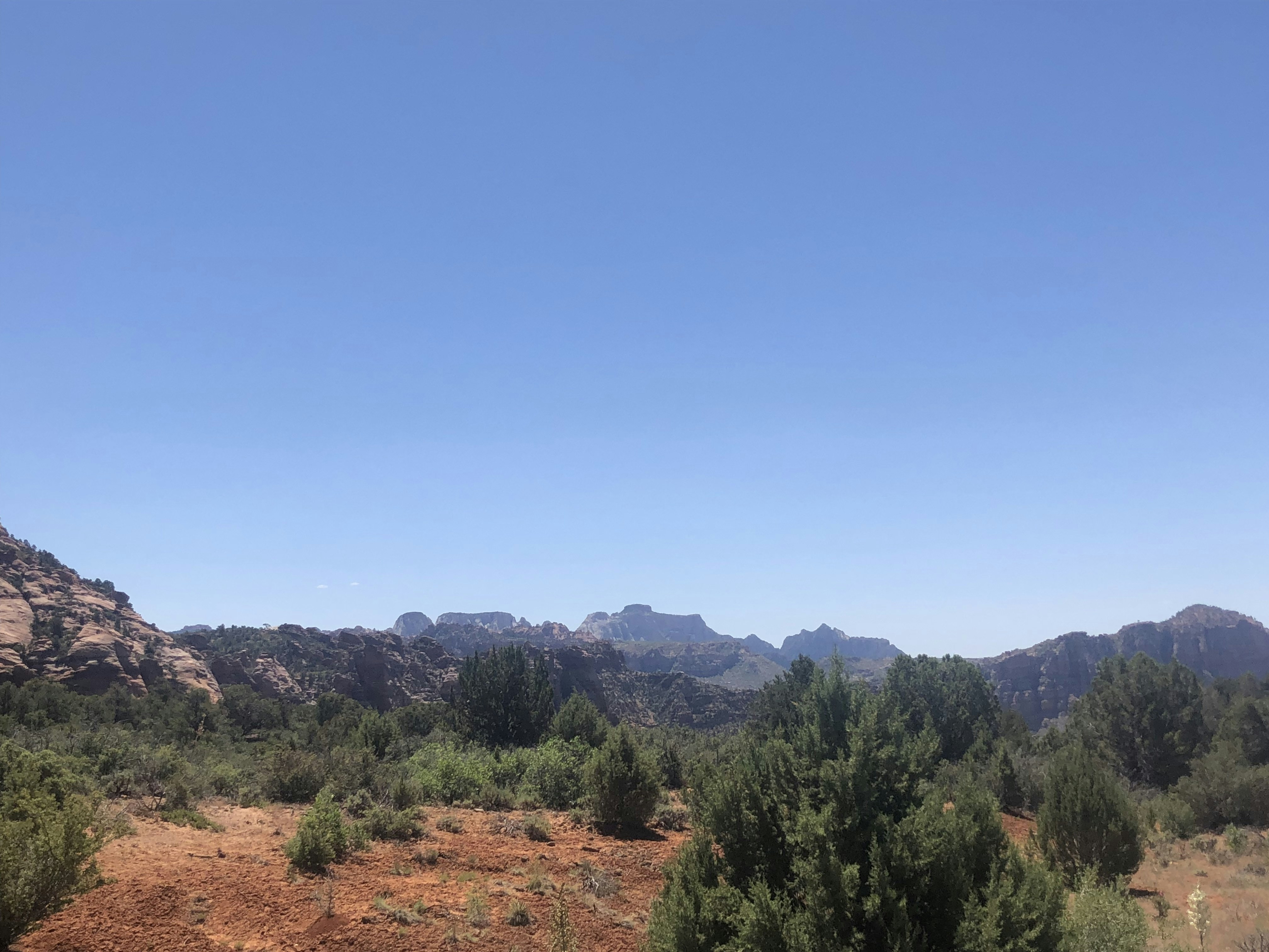 Photo by blueflame567