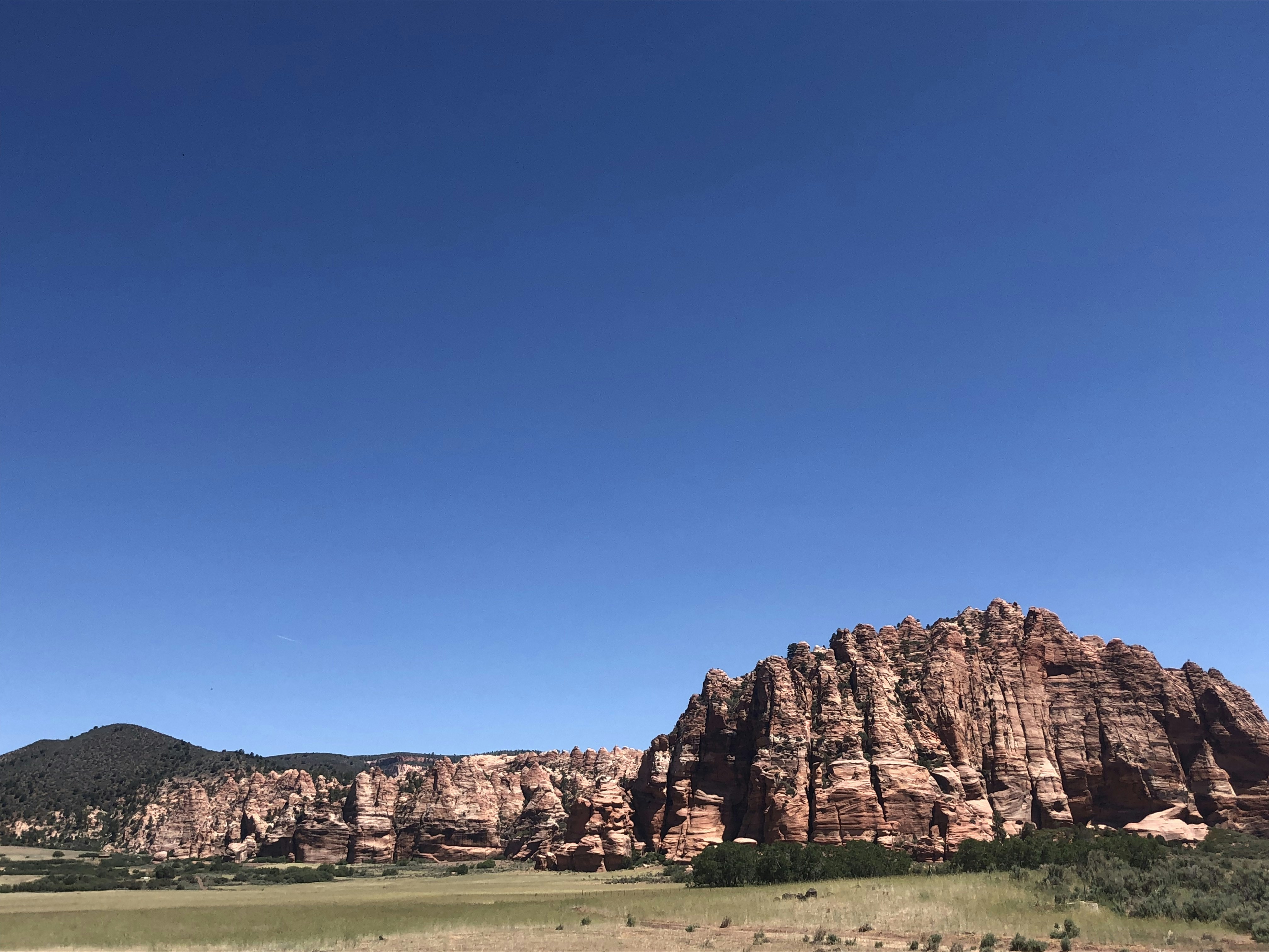 Photo by blueflame567