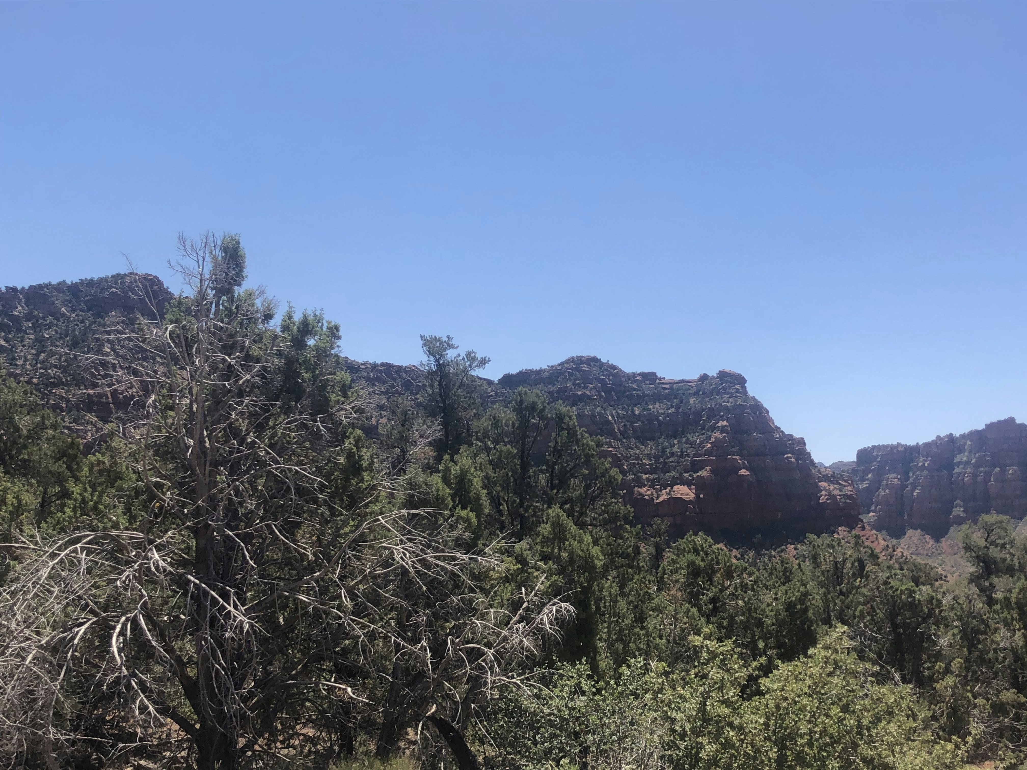 Photo by blueflame567