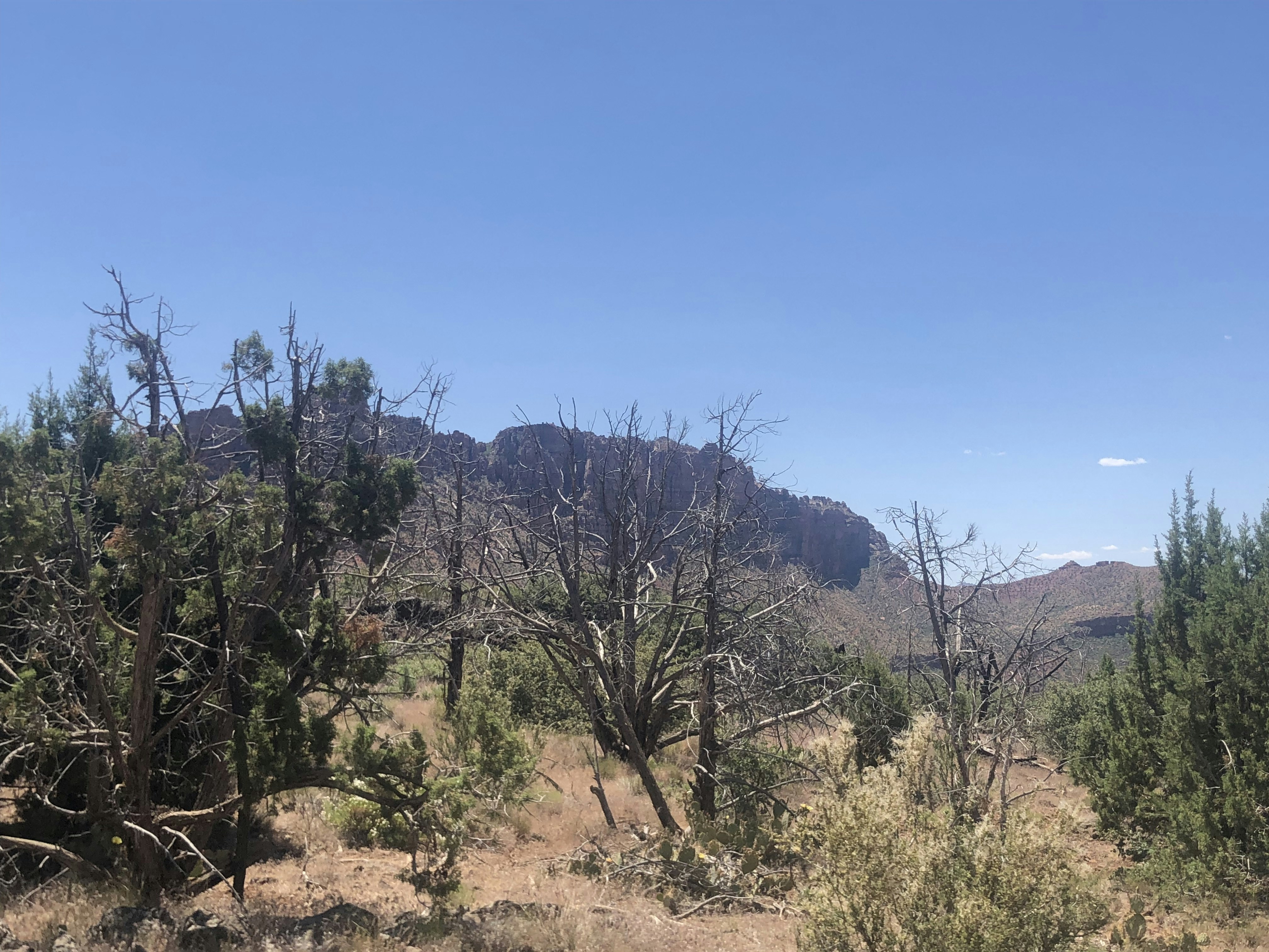 Photo by blueflame567