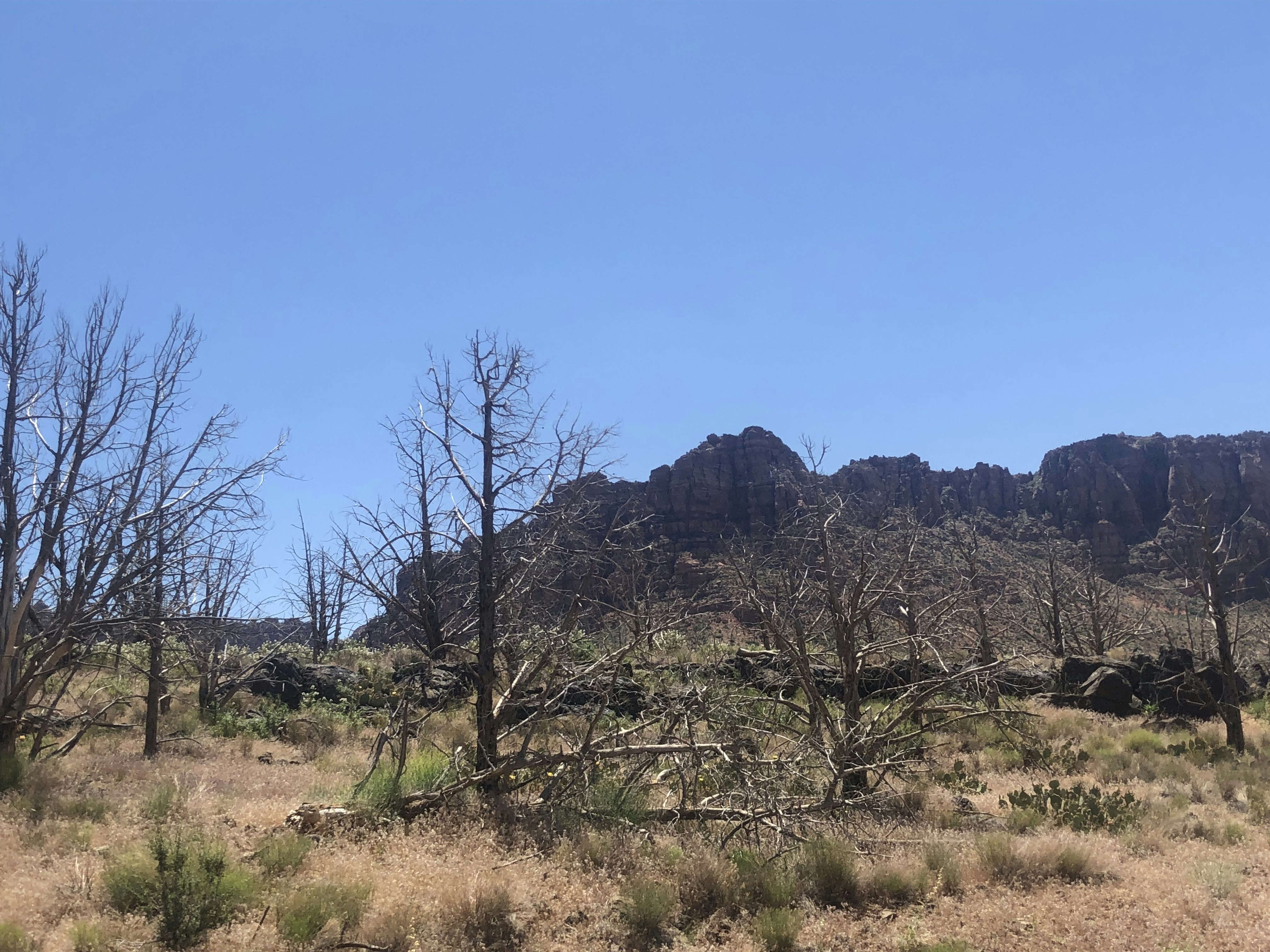 Photo by blueflame567