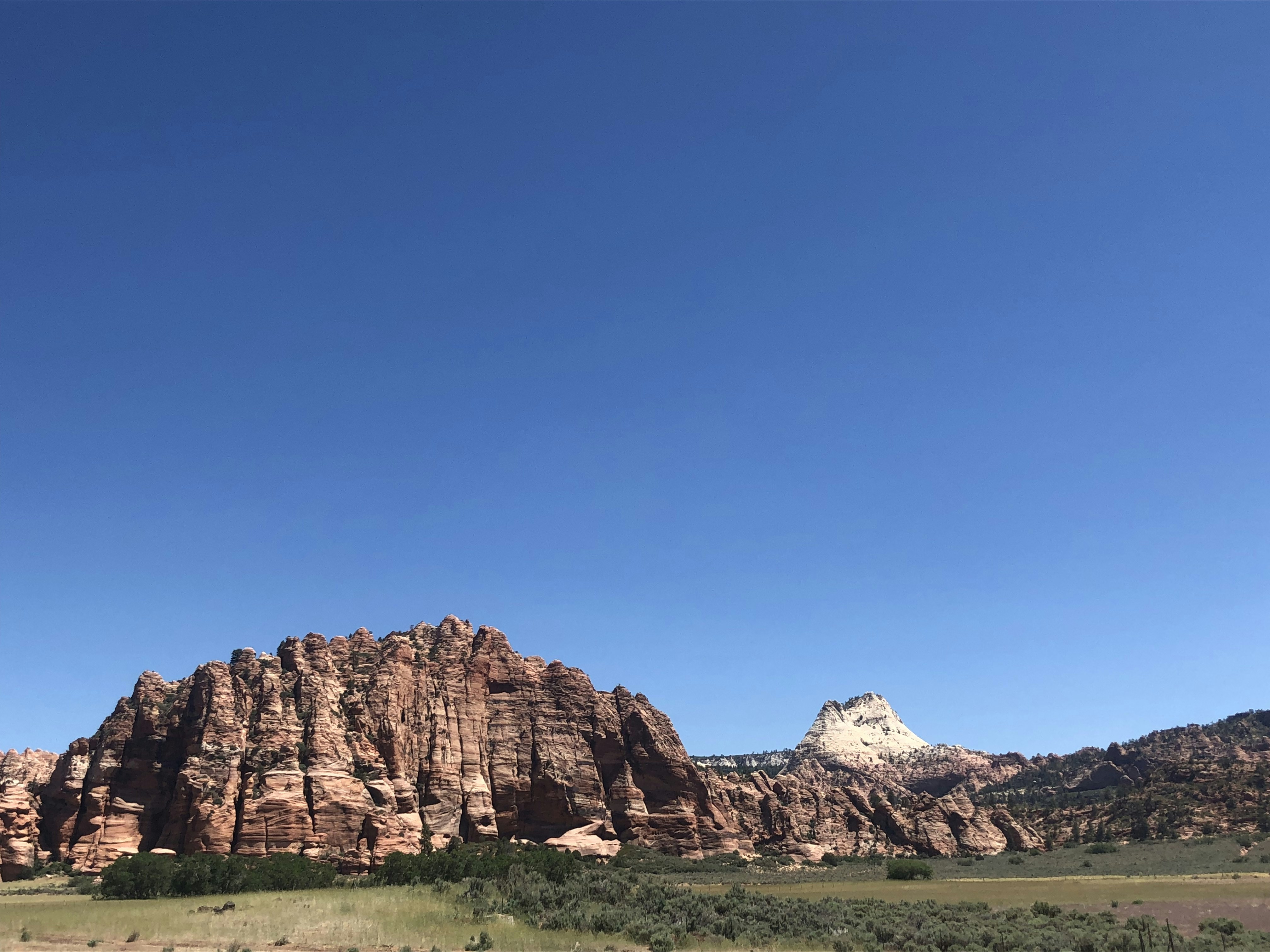 Photo by blueflame567