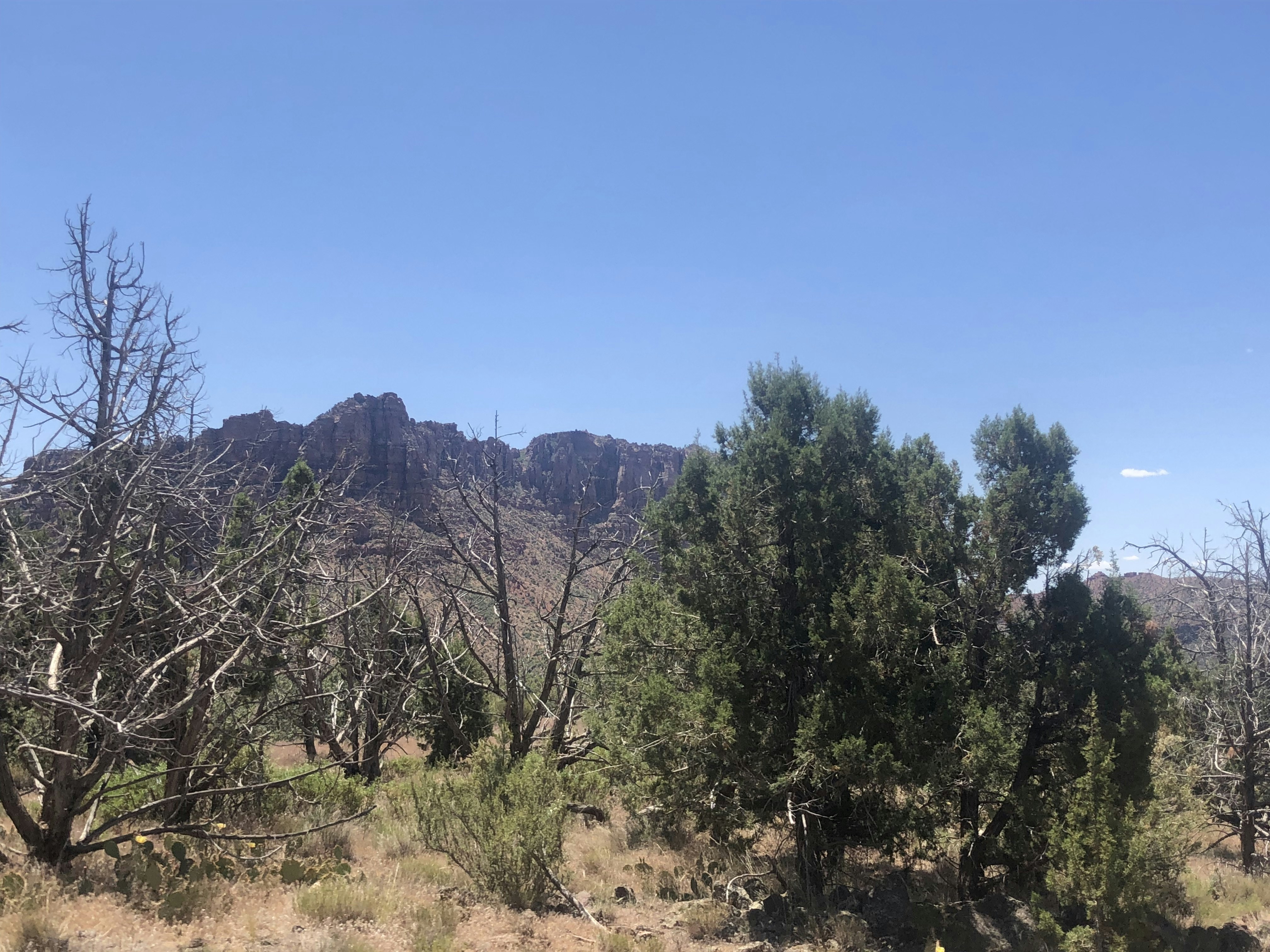 Photo by blueflame567