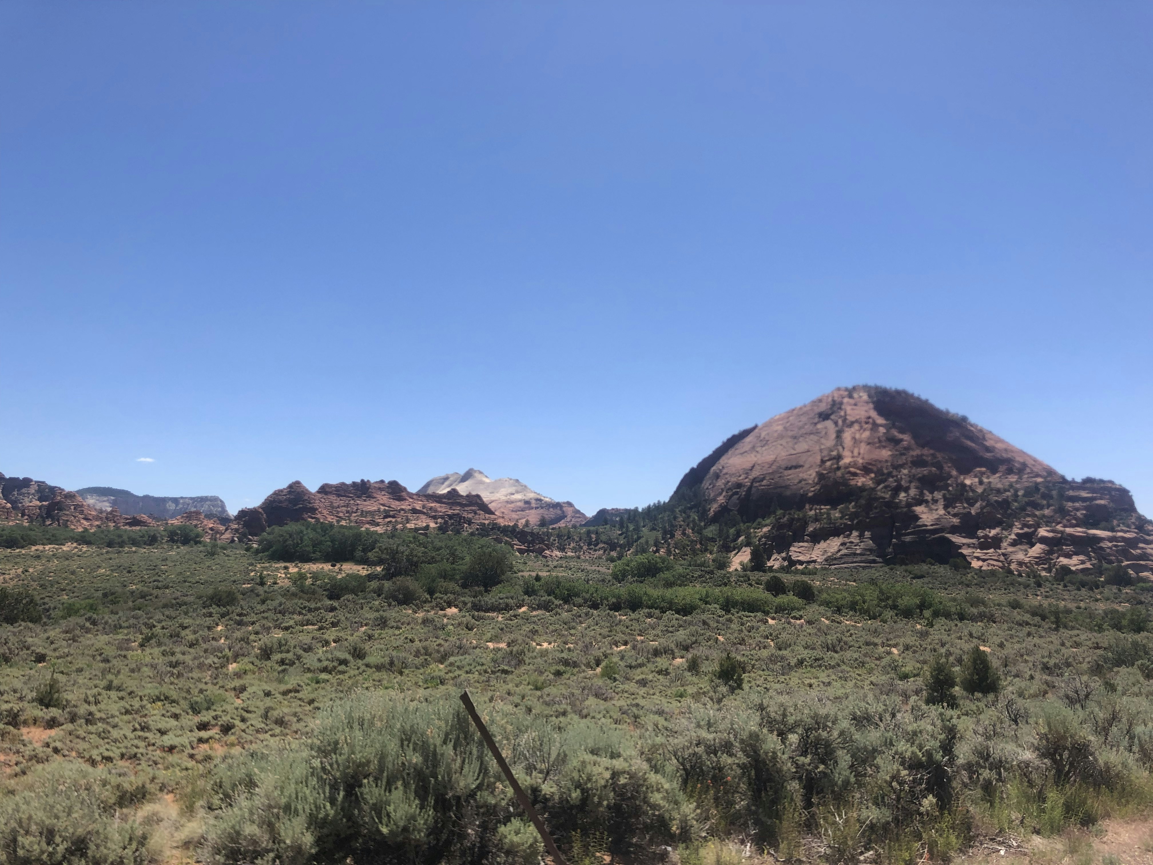 Photo by blueflame567